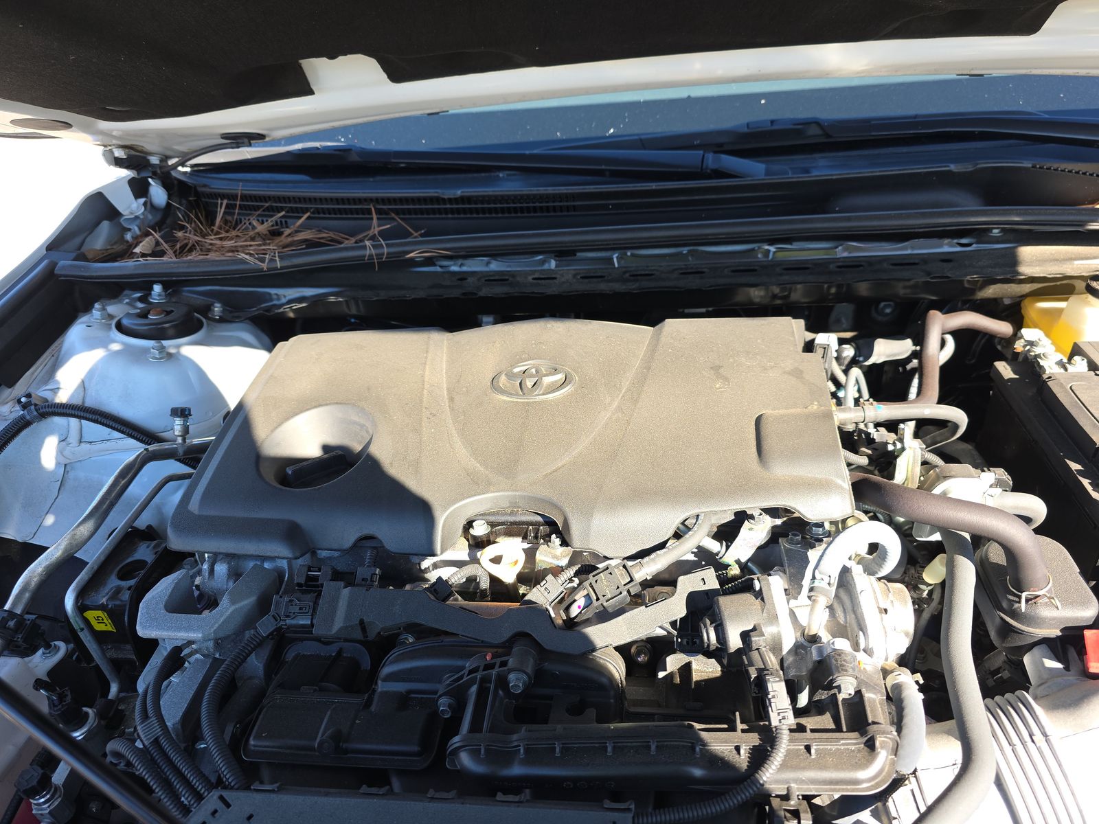 2023 Toyota Camry LE FWD