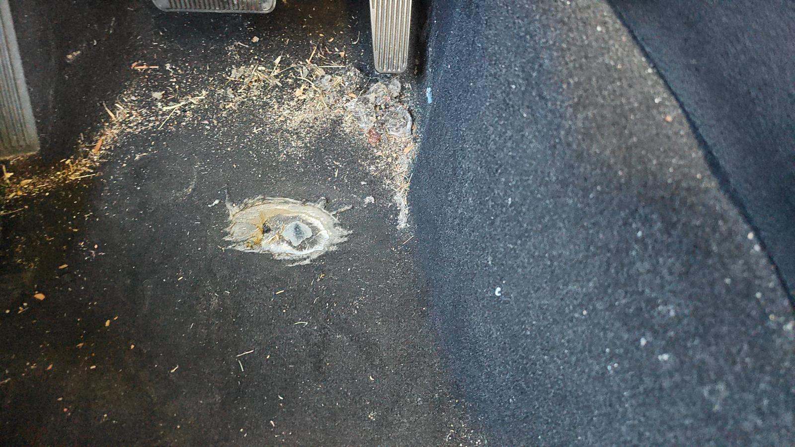 2023 Dodge Charger R/T RWD