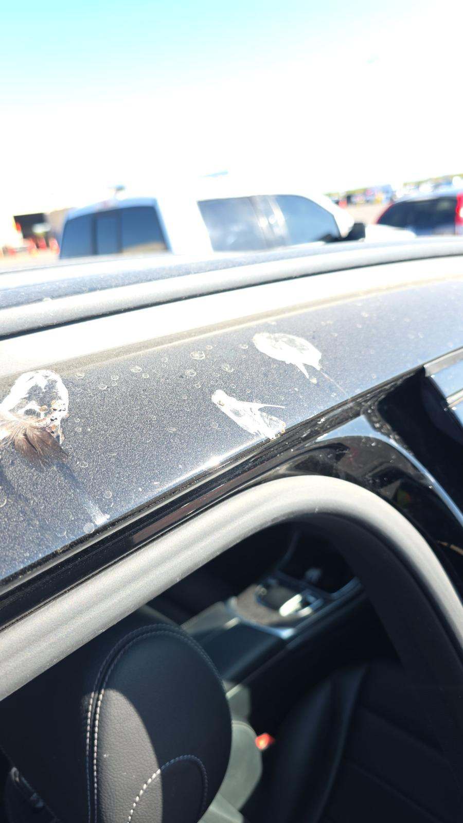 2022 Mercedes-Benz GLC GLC 300 RWD