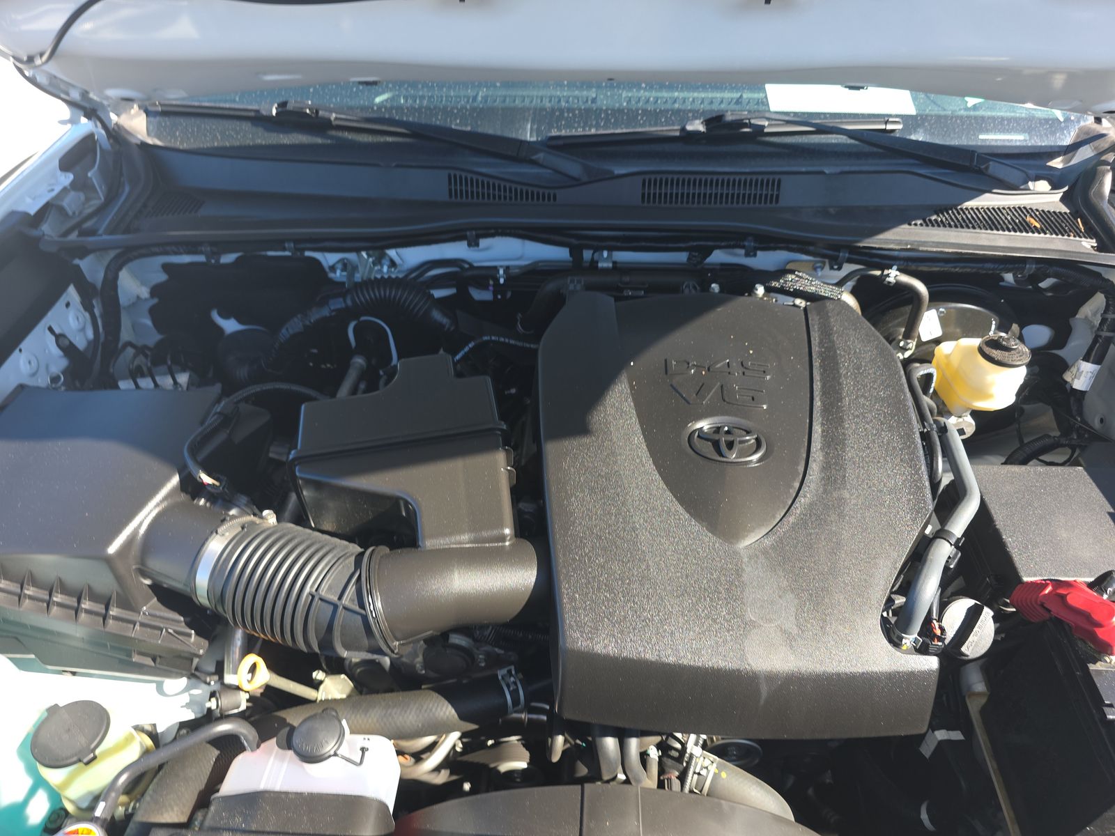 2022 Toyota Tacoma TRD Sport RWD