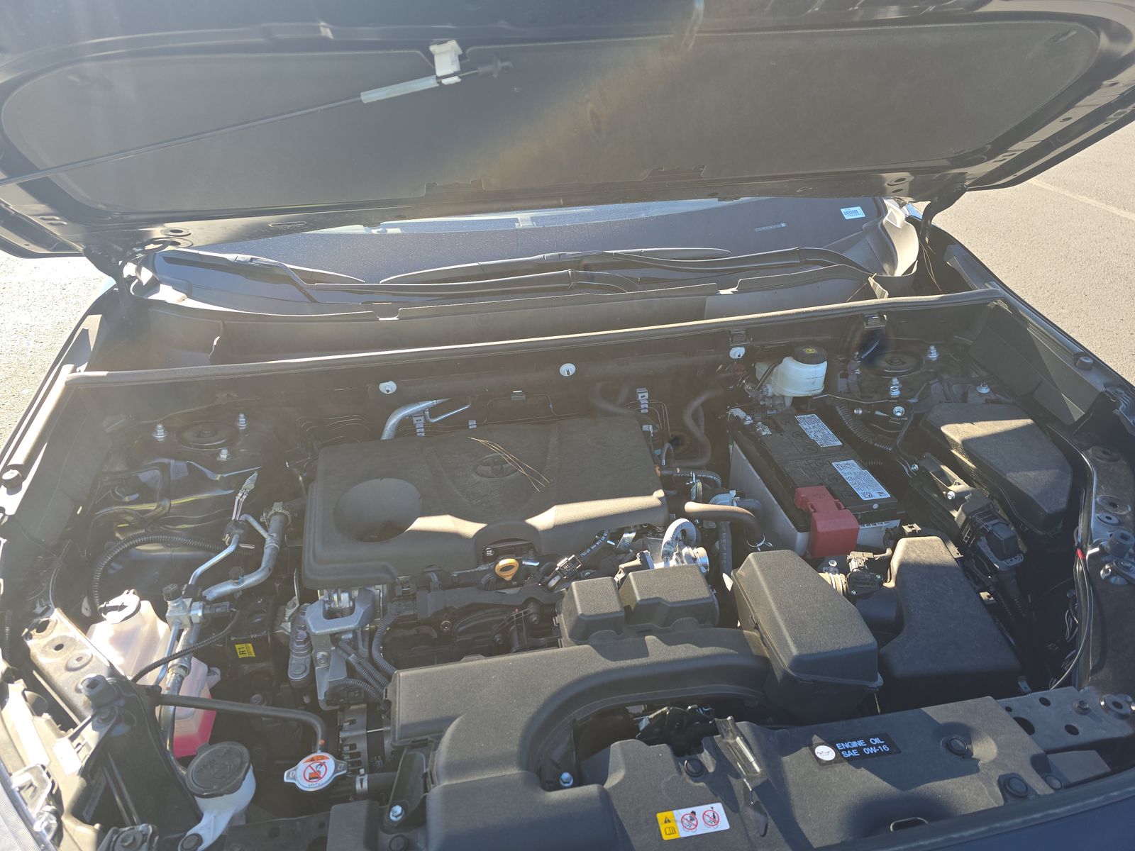 2025 Toyota RAV4 XLE Premium FWD