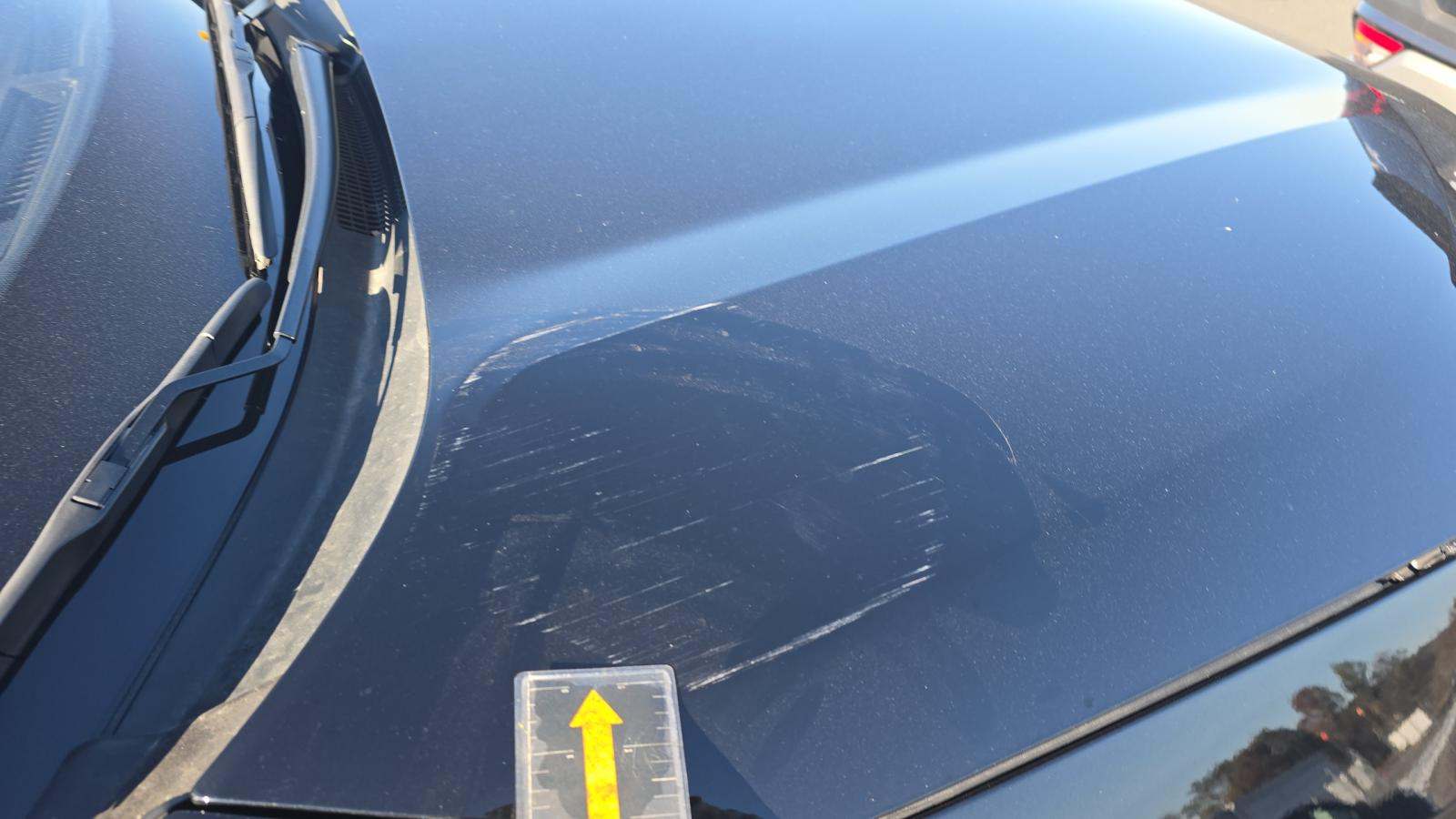 2025 Toyota RAV4 XLE Premium FWD