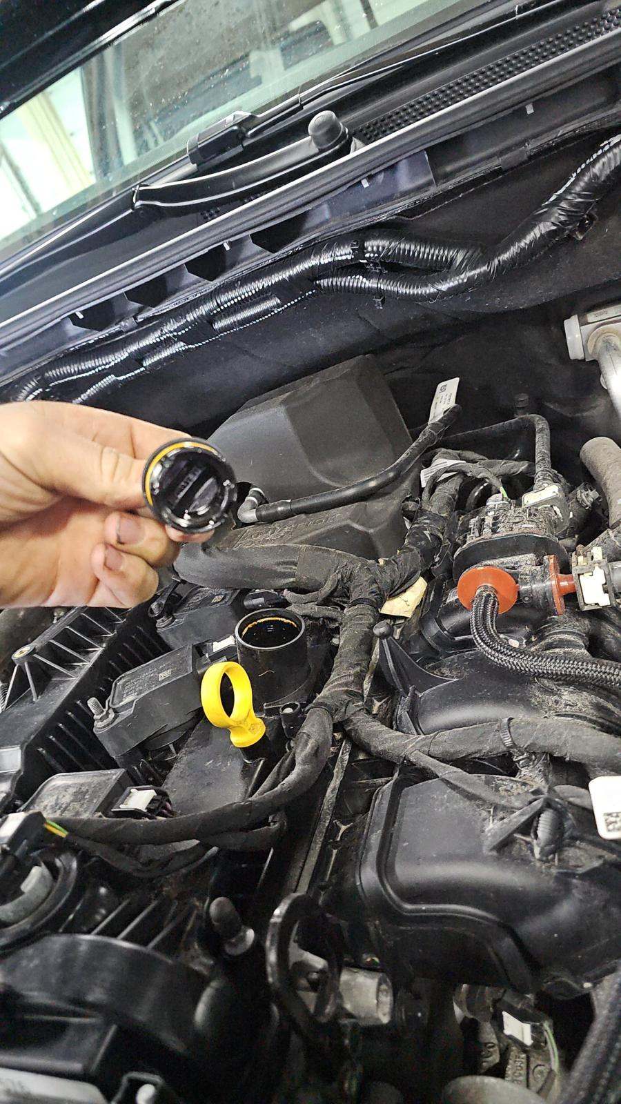 2024 Ford Ranger XLT AWD