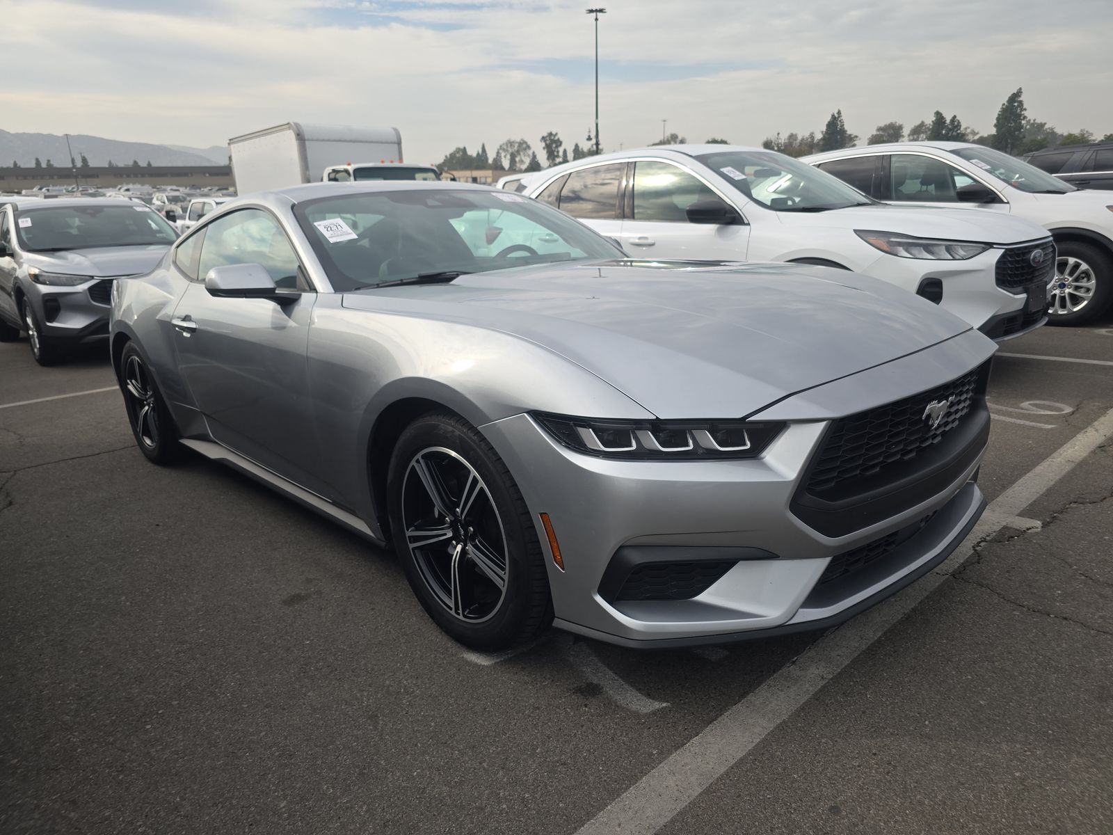 2024 Ford Mustang EcoBoost RWD