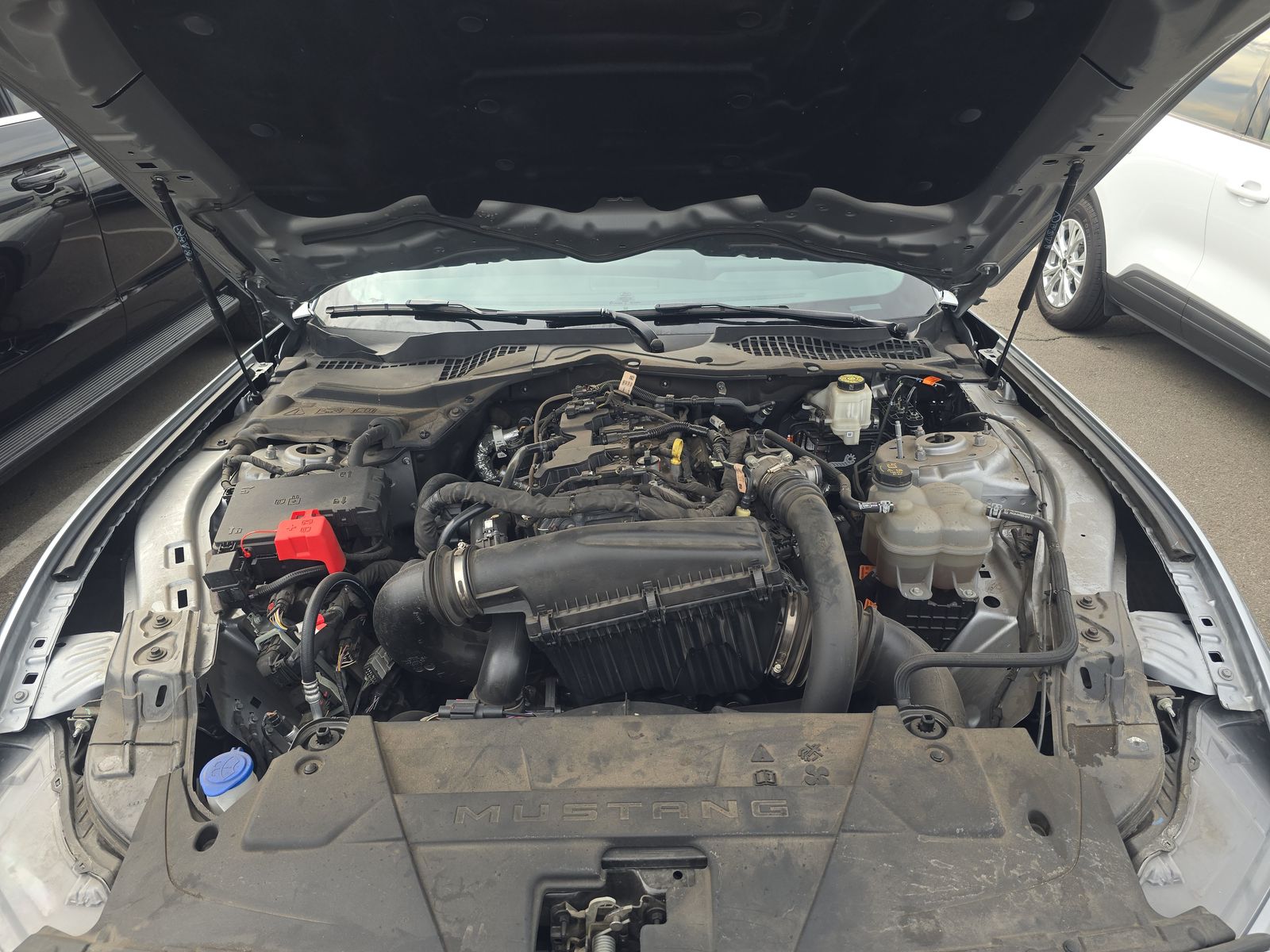 2024 Ford Mustang EcoBoost RWD