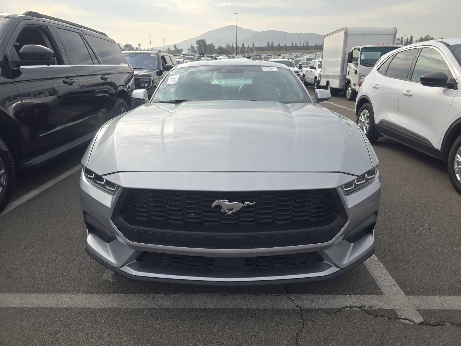 2024 Ford Mustang EcoBoost RWD