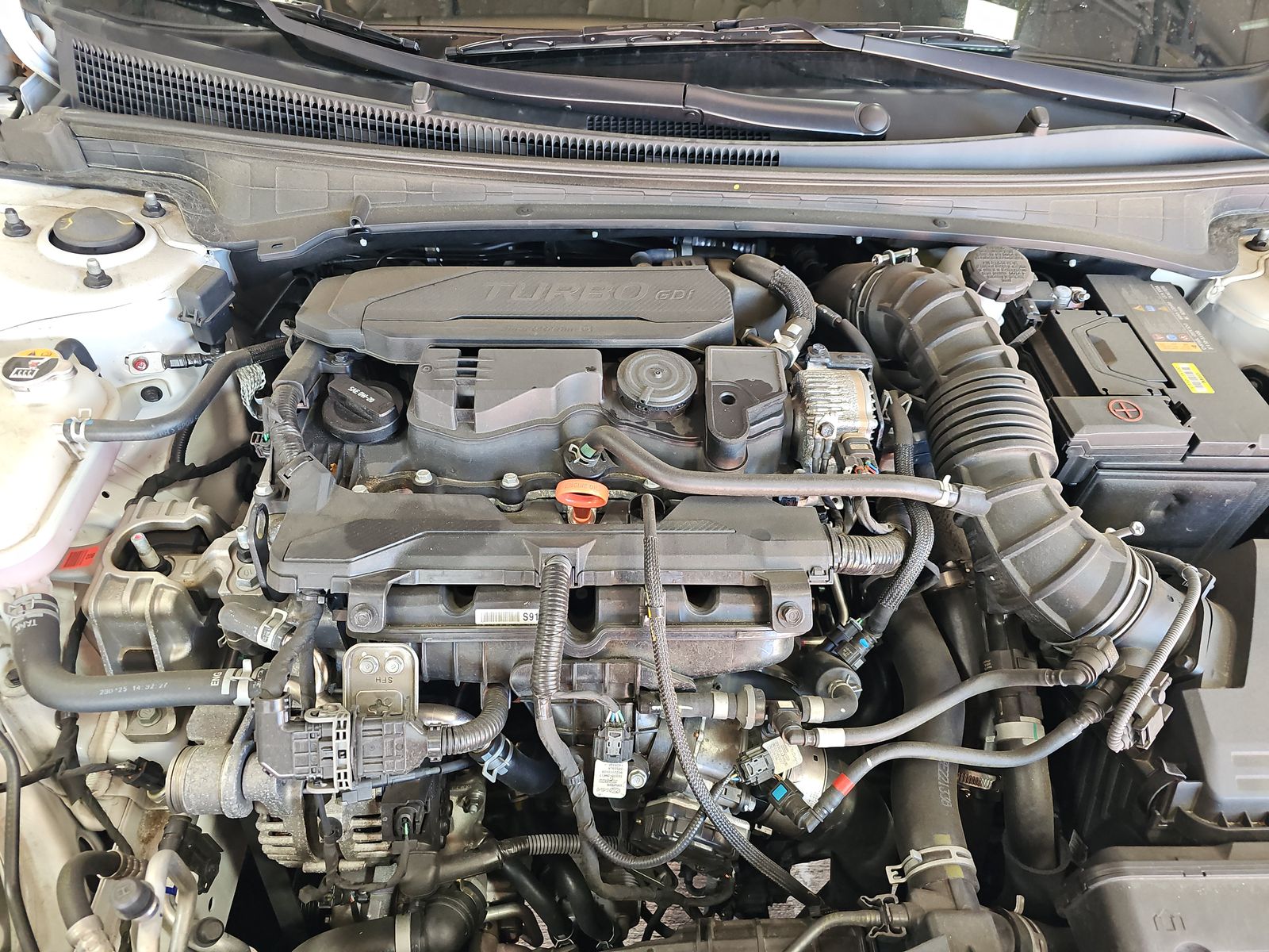 2023 Hyundai Elantra N Line FWD