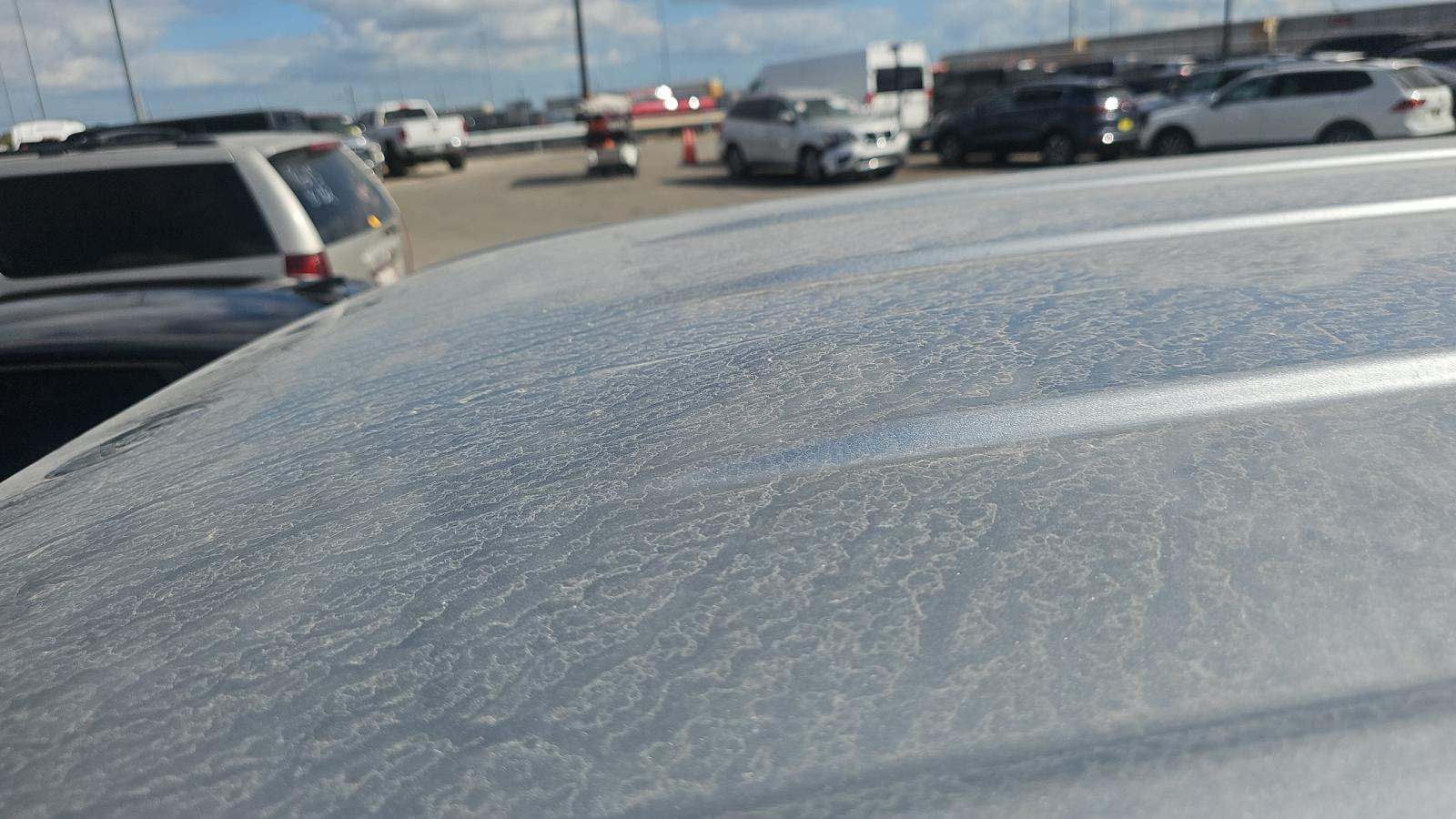 2024 Toyota Tacoma TRD Sport RWD