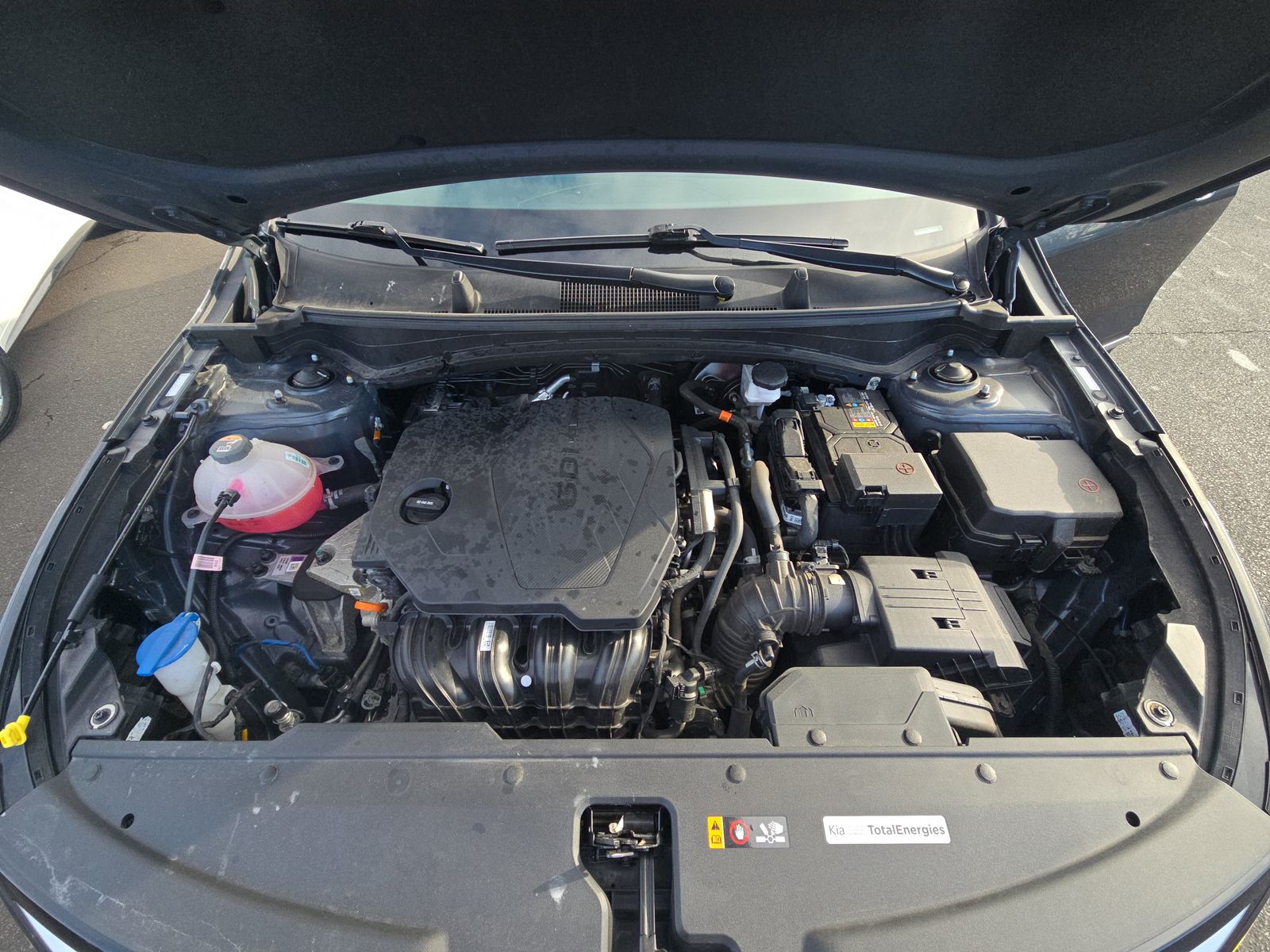 2024 Kia Sportage EX AWD