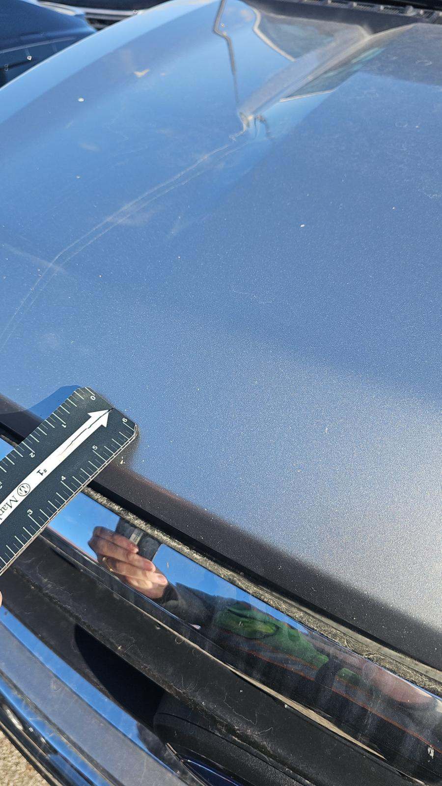 2021 Ford F-150 XLT AWD