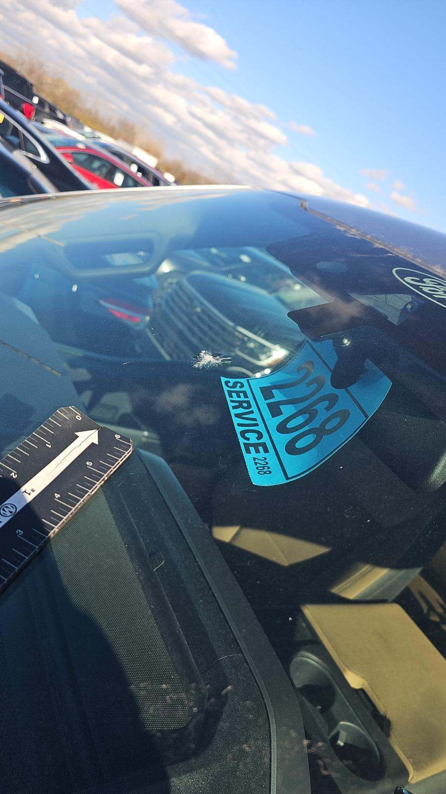 2021 Ford F-150 XLT AWD