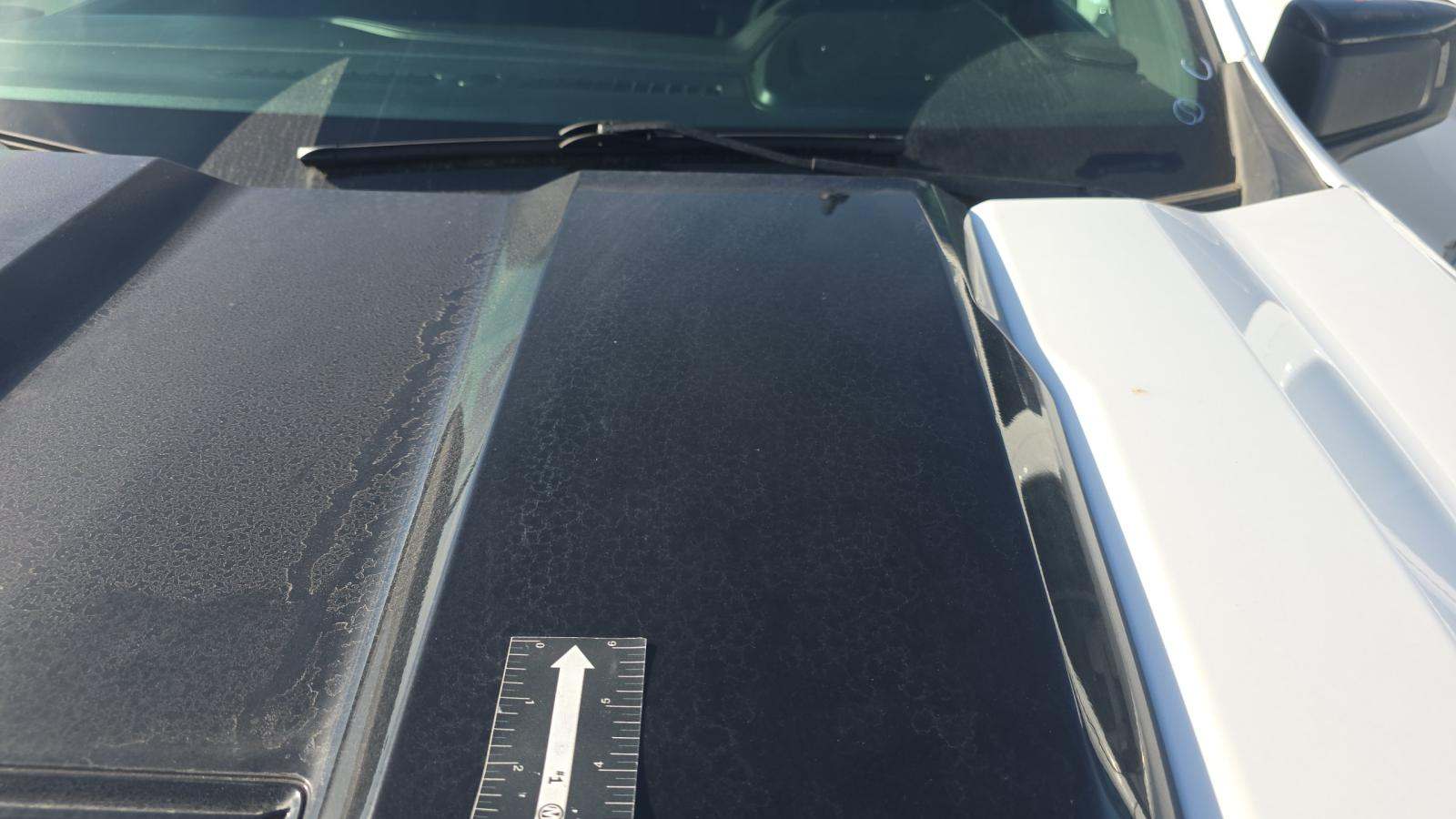 2023 Chevrolet Silverado 1500 LT Trail Boss AWD