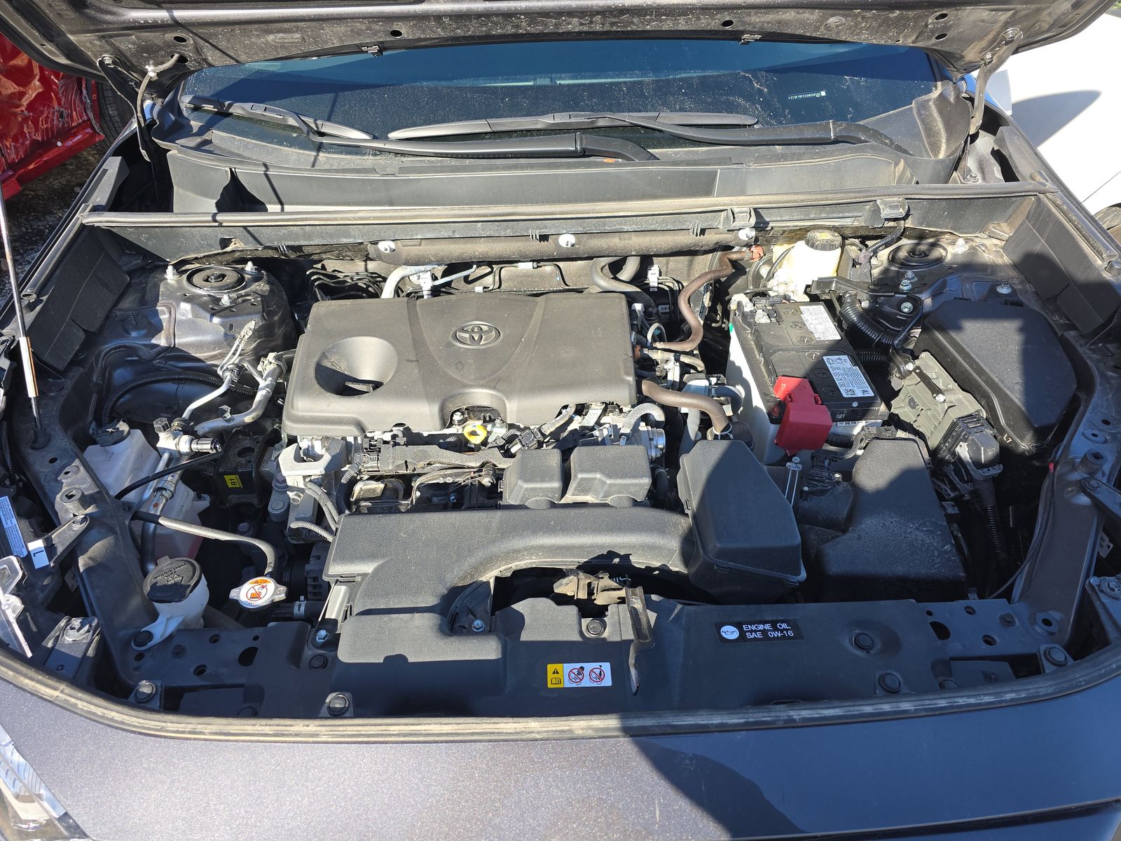 2025 Toyota RAV4 XLE AWD