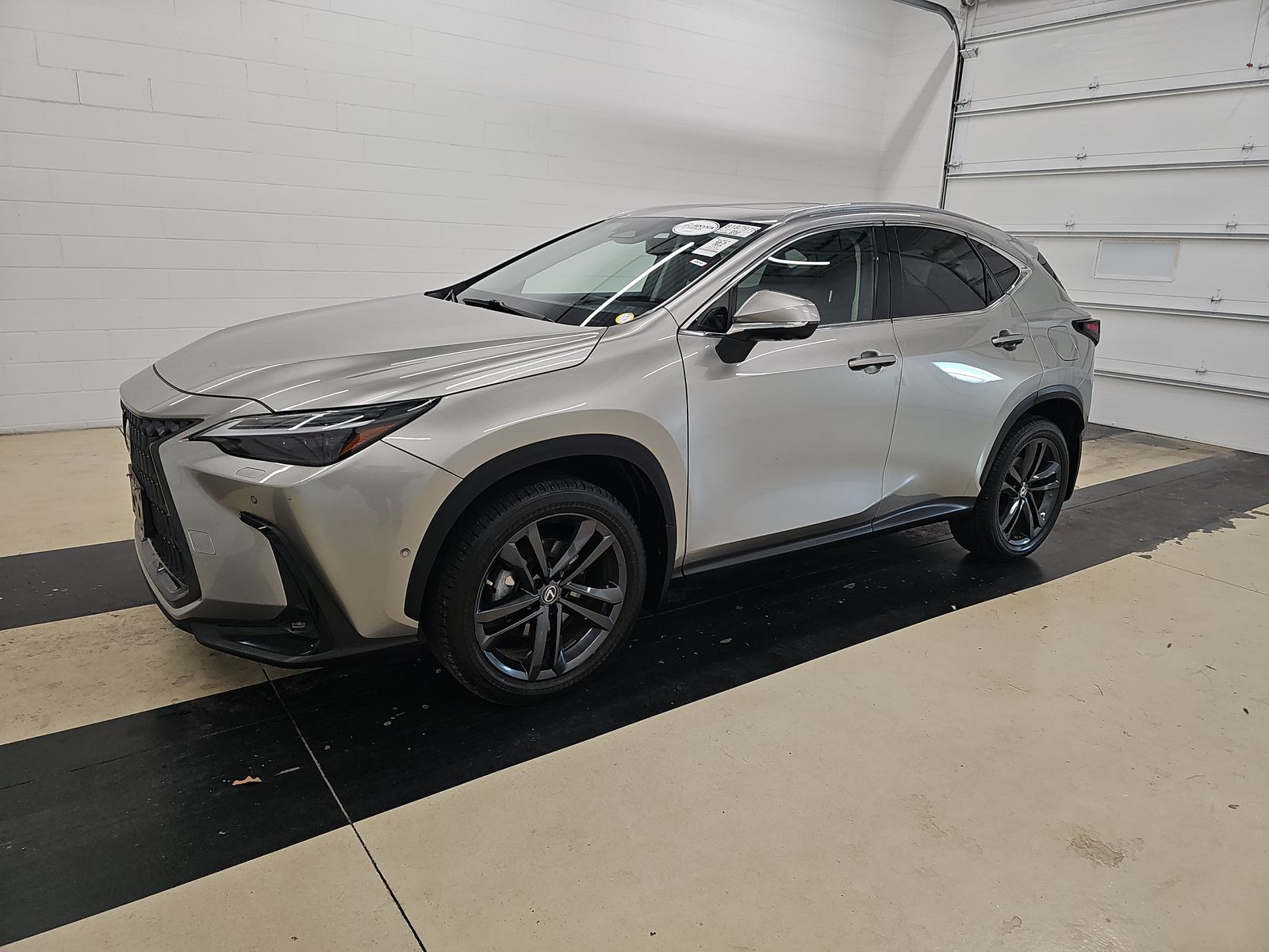 2022 Lexus NX PHEV 450h+'s photo