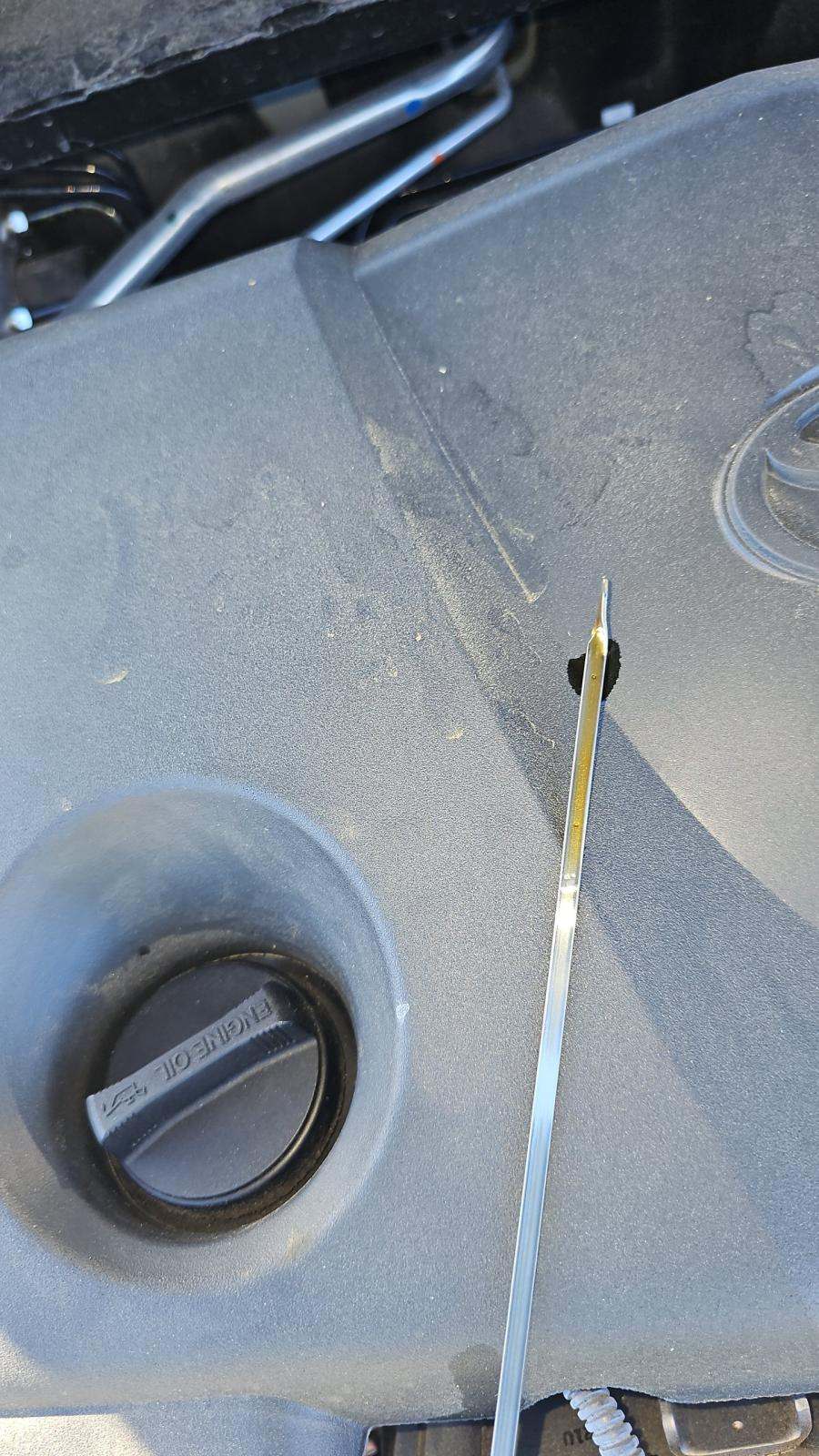 2025 Toyota Camry SE FWD