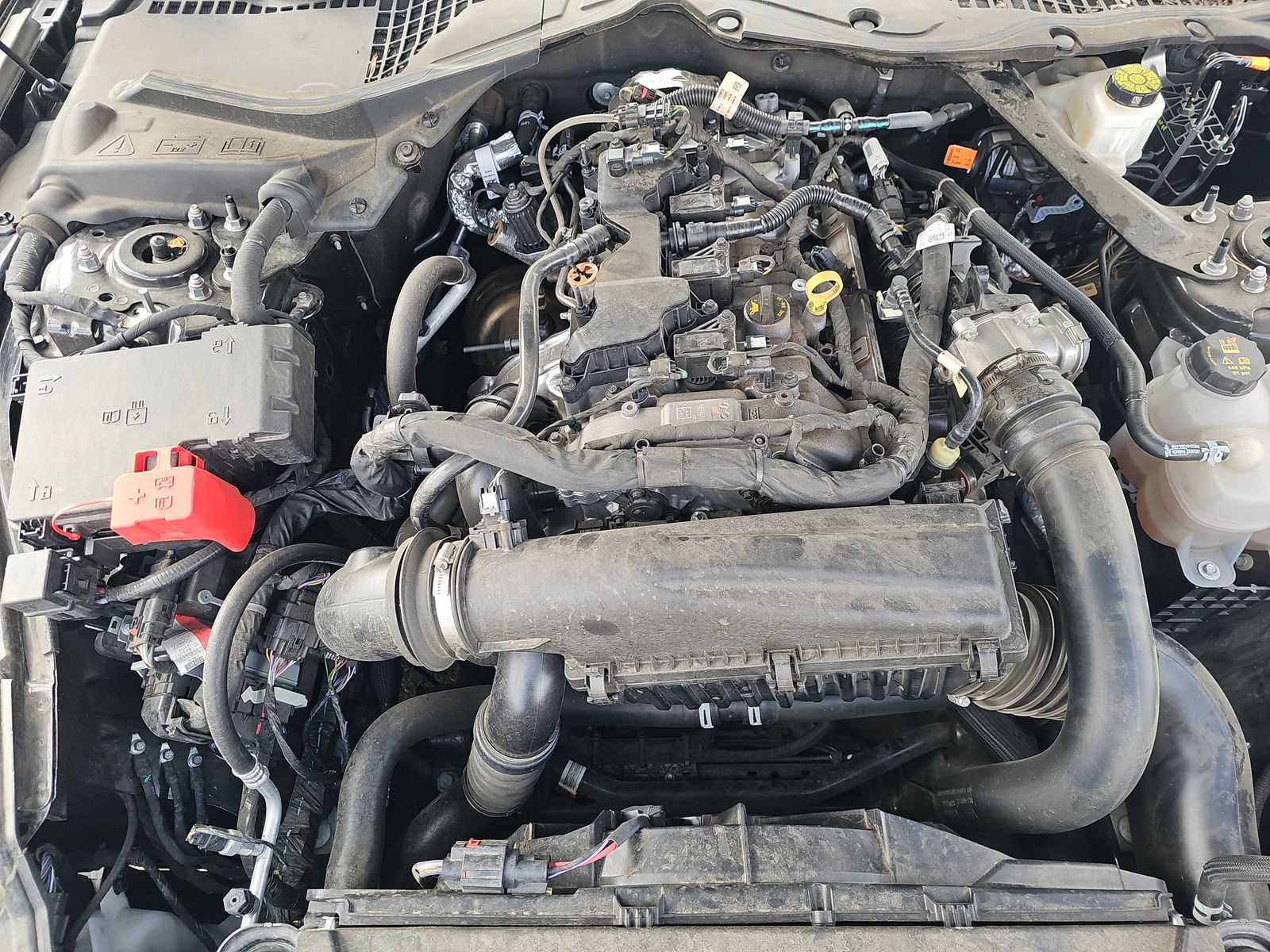 2024 Ford Mustang EcoBoost Premium RWD