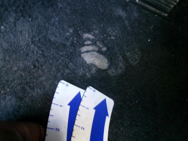 2025 Toyota RAV4 Hybrid XLE AWD