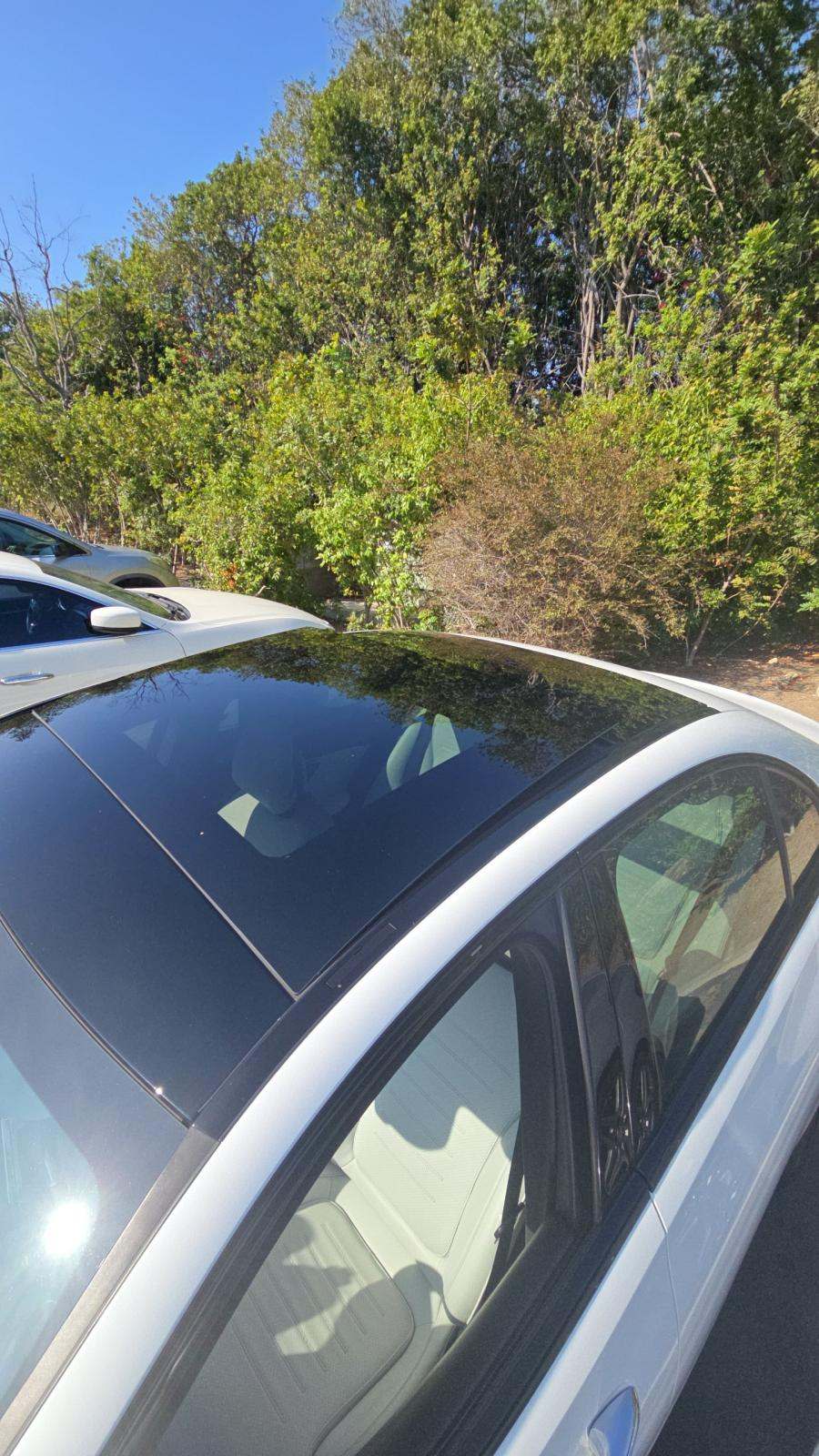 2022 Mercedes-Benz C-Class C 300 RWD