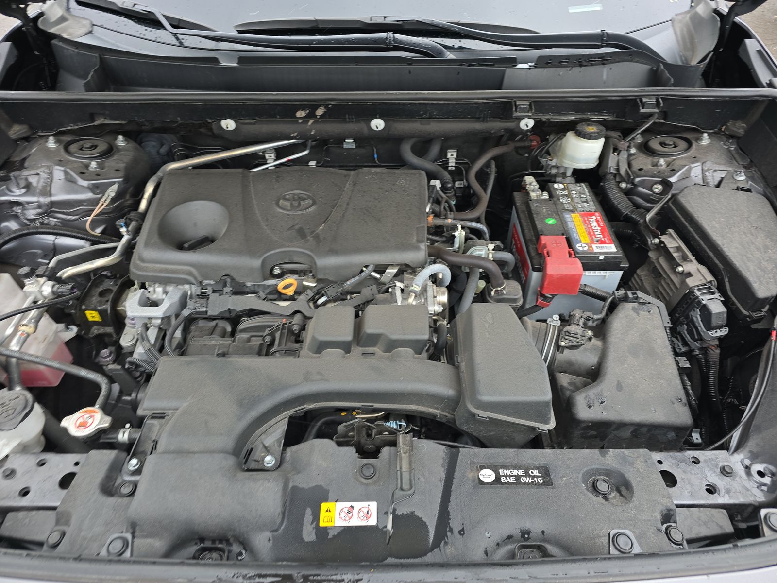 2023 Toyota RAV4 LE FWD