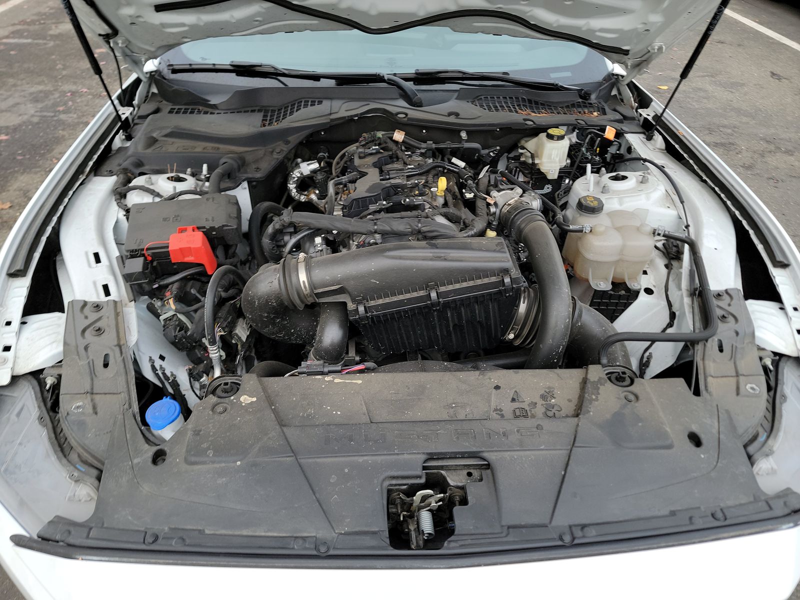 2024 Ford Mustang EcoBoost RWD