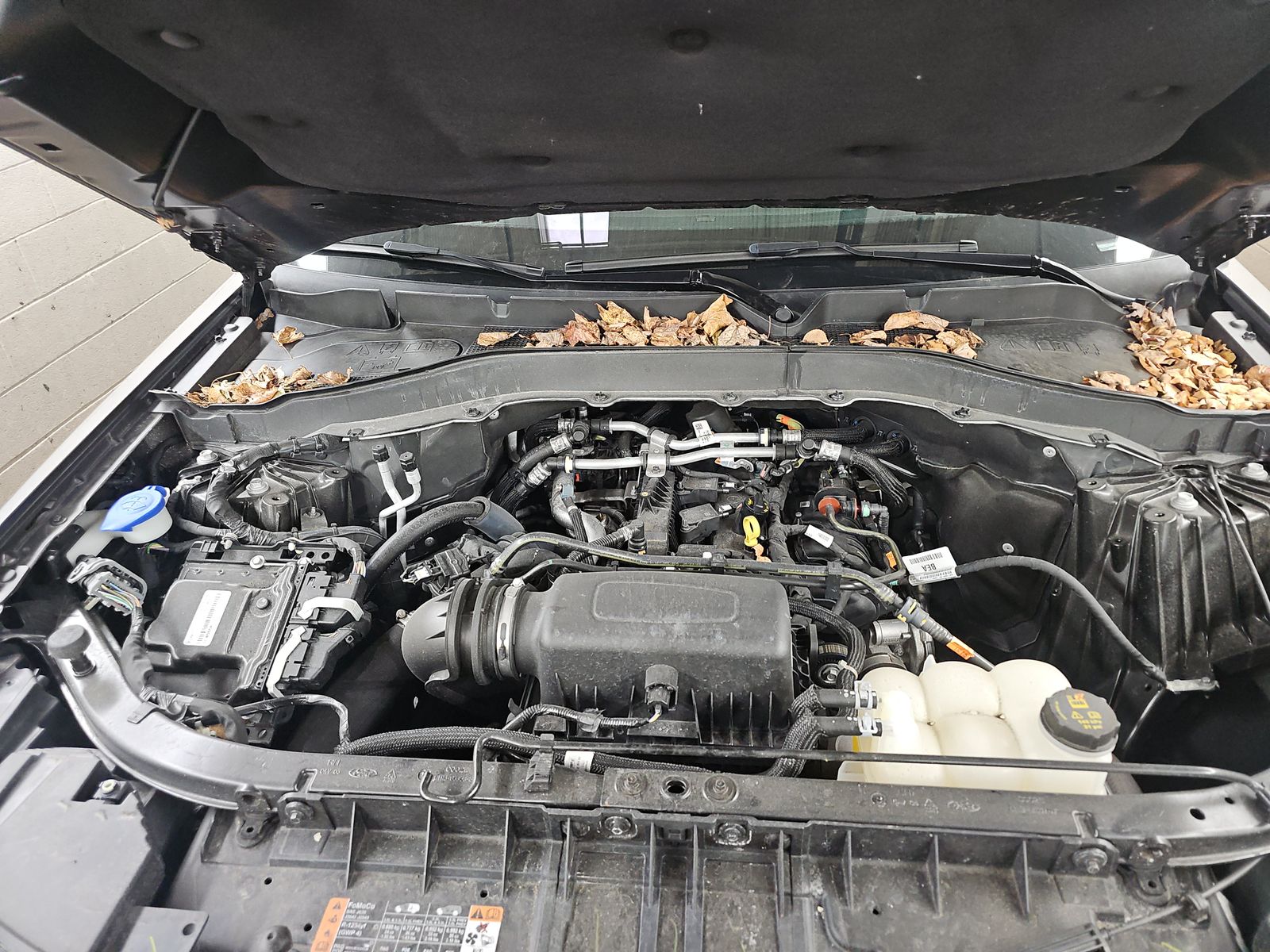 2023 Ford Explorer XLT AWD