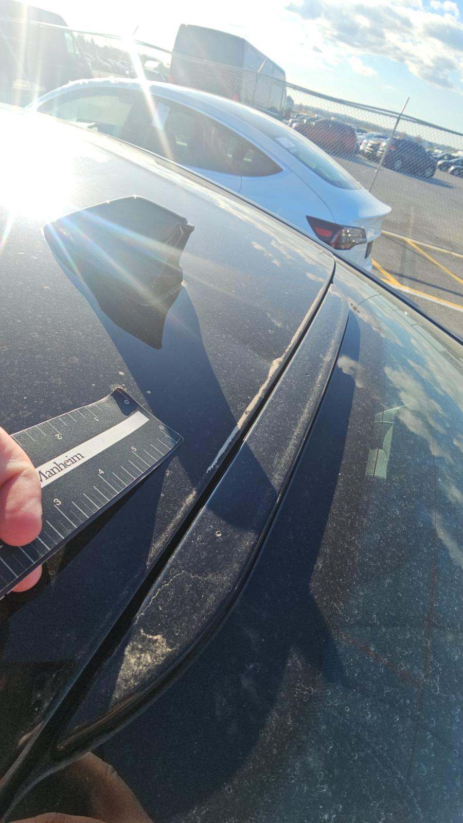 2024 Ford Mustang EcoBoost RWD