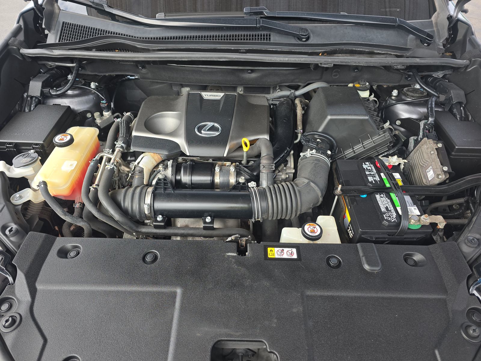 2019 Lexus NX NX 300 F SPORT FWD