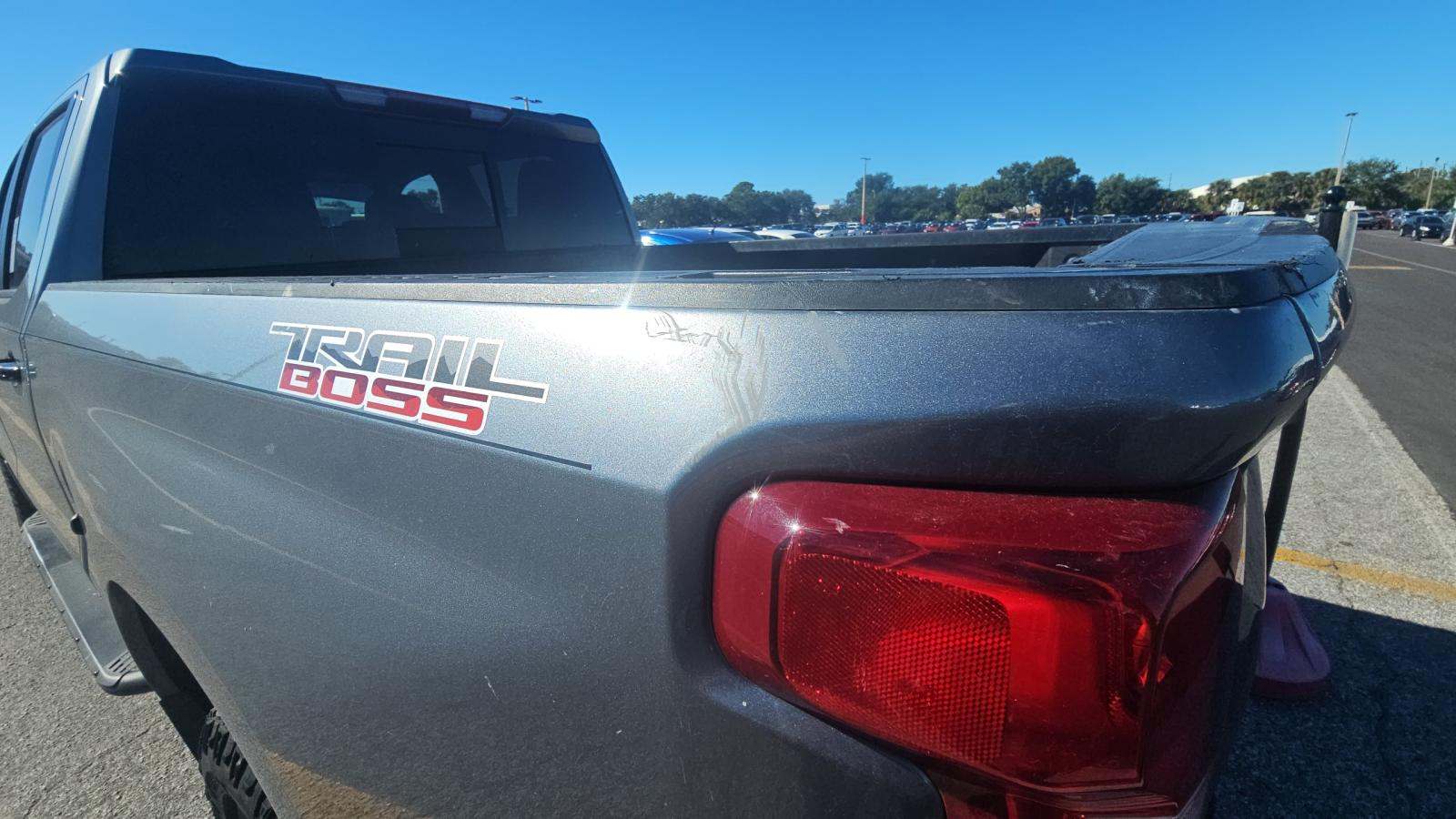 2019 Chevrolet Silverado 1500 LT Trail Boss AWD