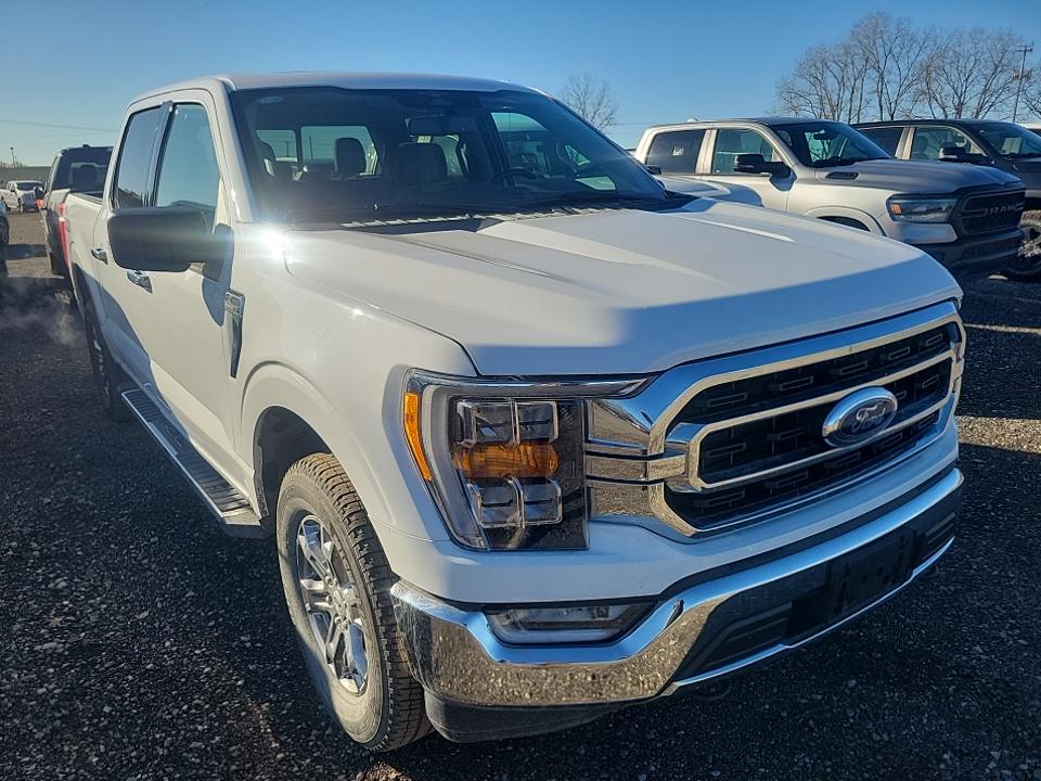 2023 Ford F-150 XLT AWD