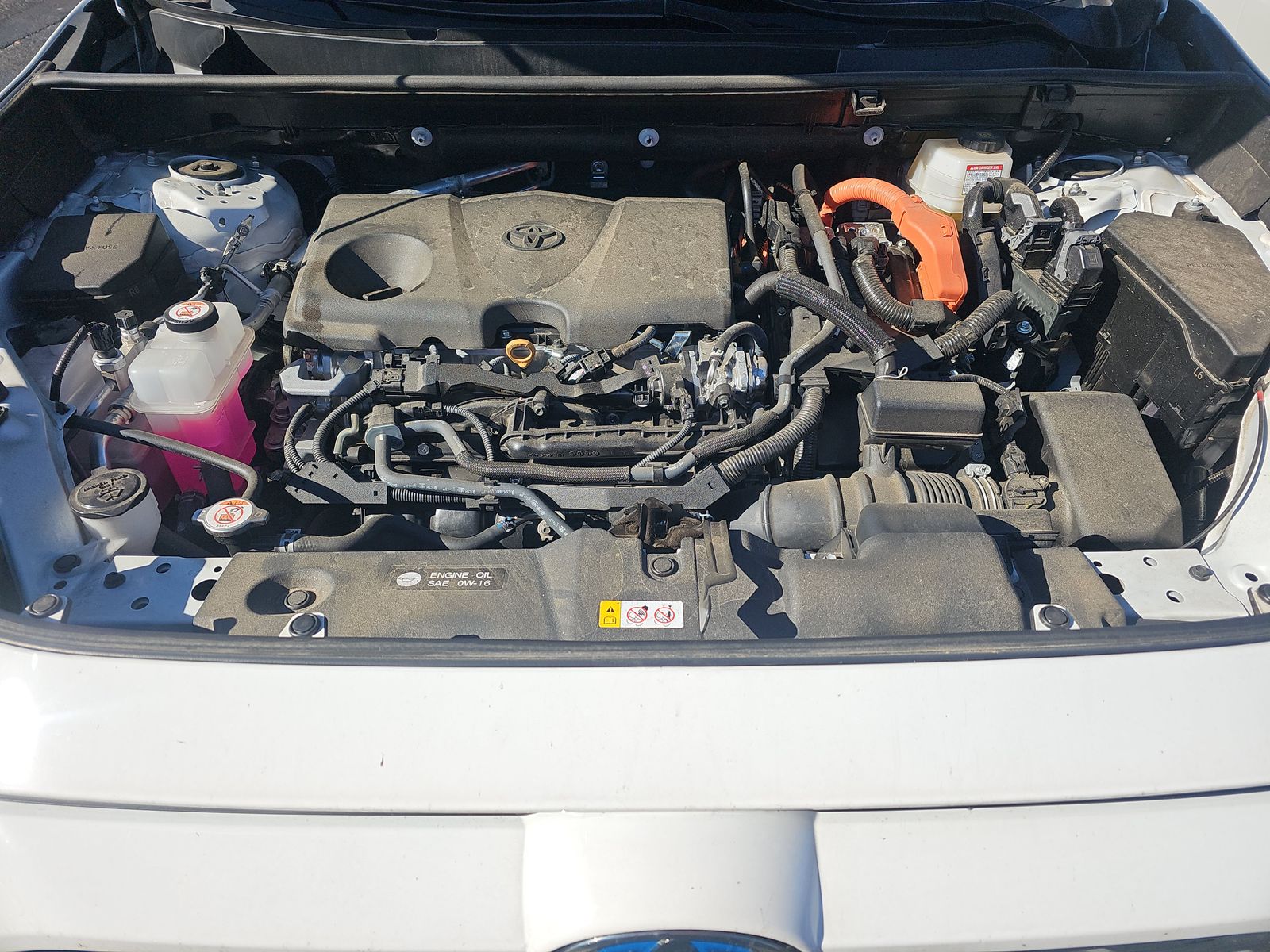 2024 Toyota RAV4 Hybrid LE AWD