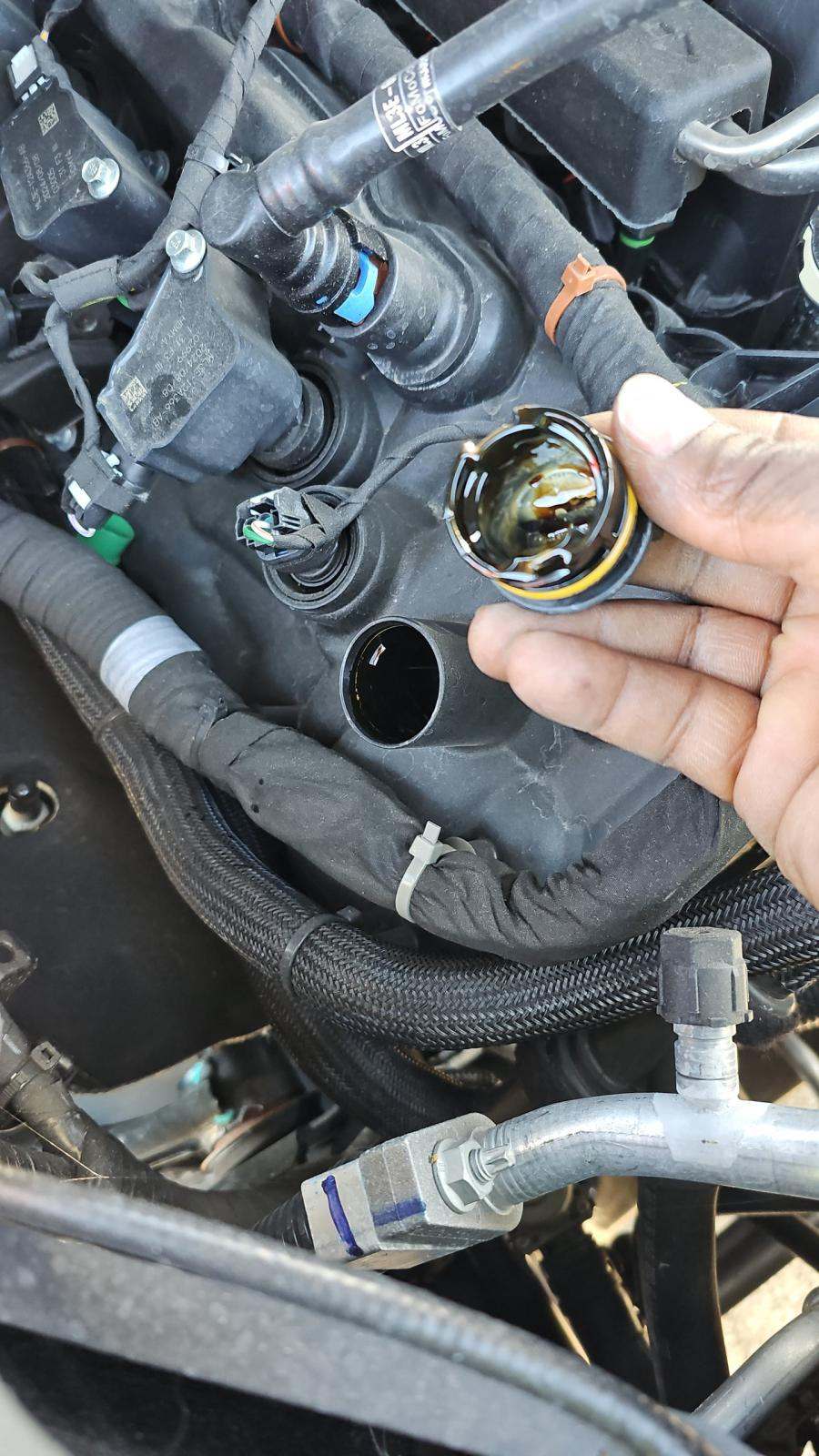 2024 Ford F-150 XLT AWD