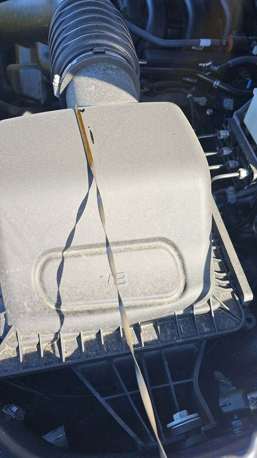 2024 Ford F-150 XLT AWD