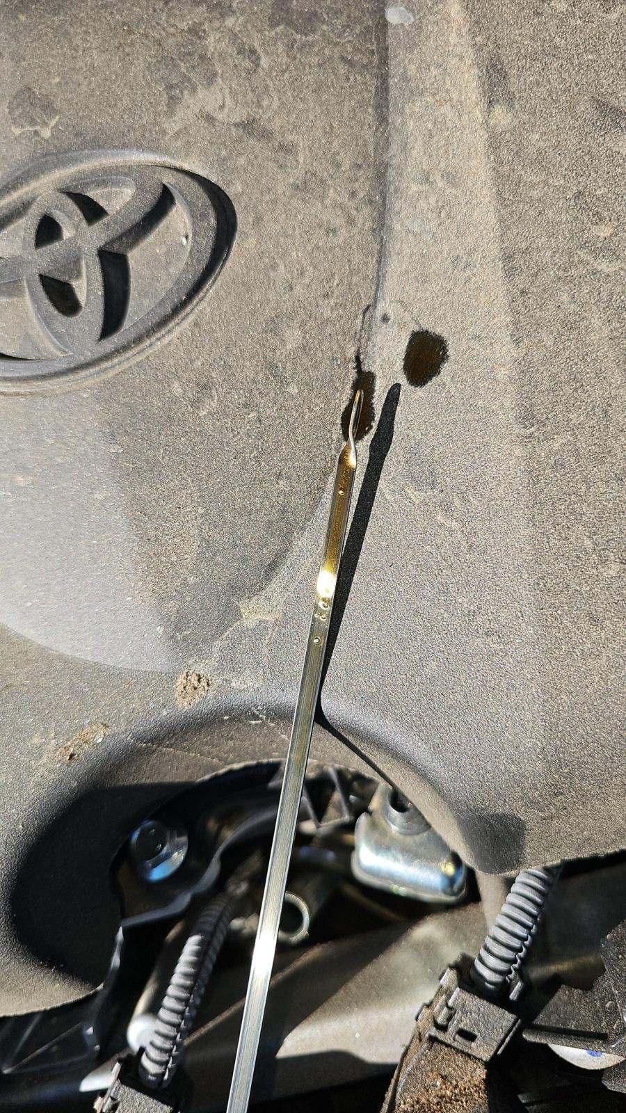 2024 Toyota RAV4 Hybrid LE AWD