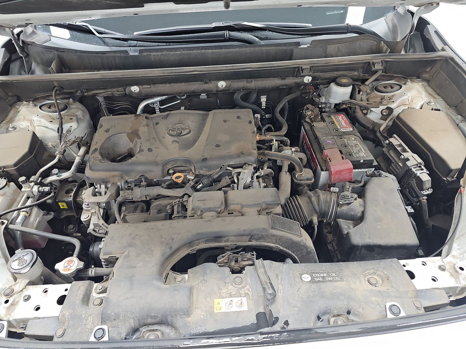 2020 Toyota RAV4 XLE Premium FWD