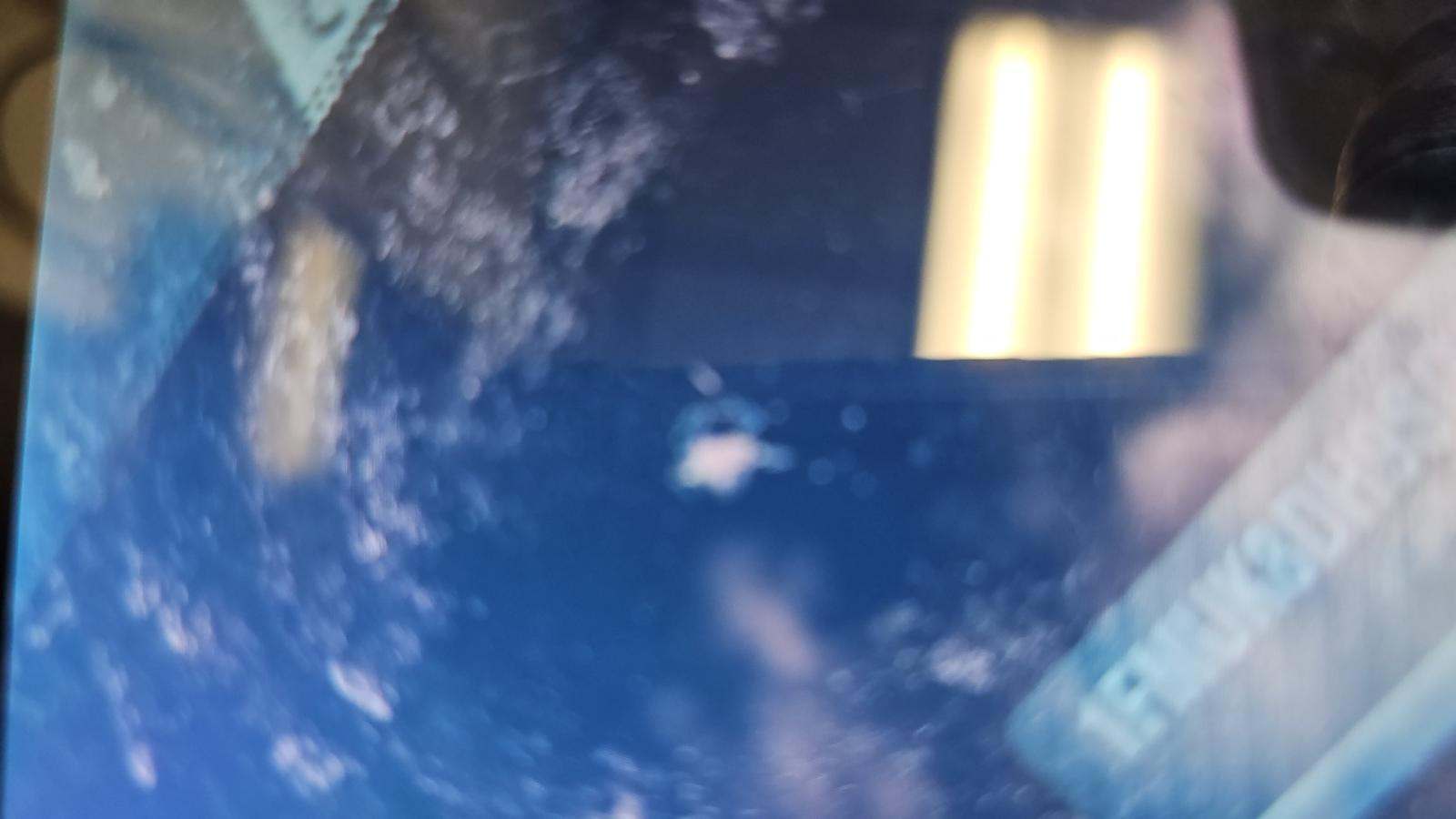 2025 Ford Explorer Active AWD