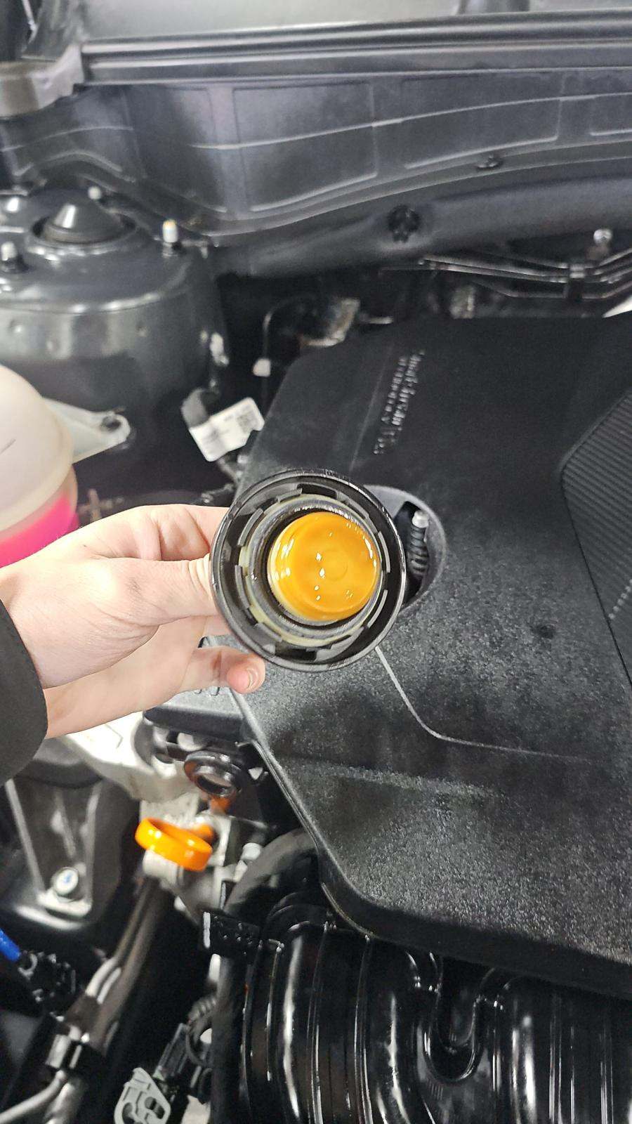 2023 Kia Sportage EX AWD