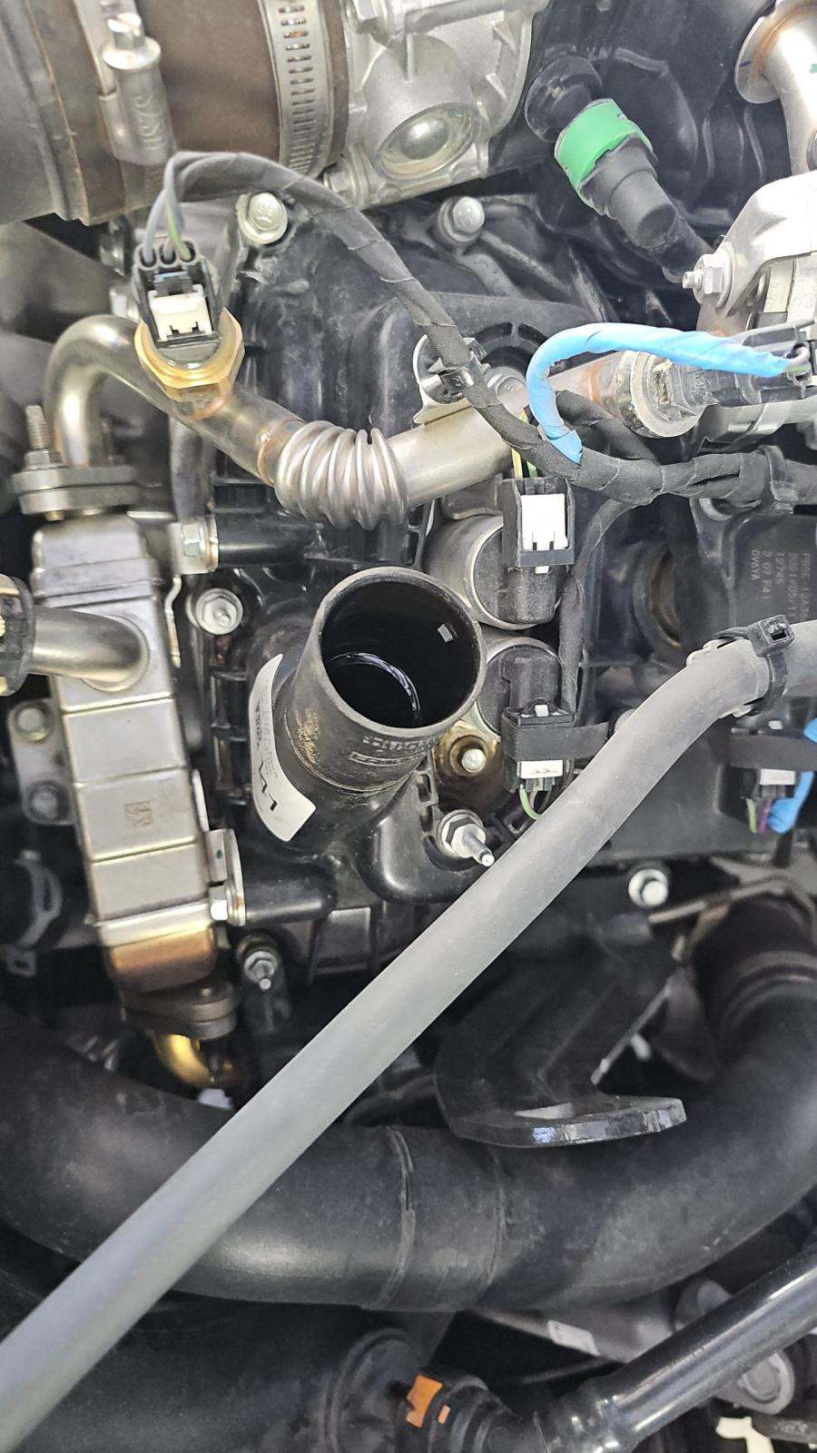 2021 Ford F-150 XL RWD