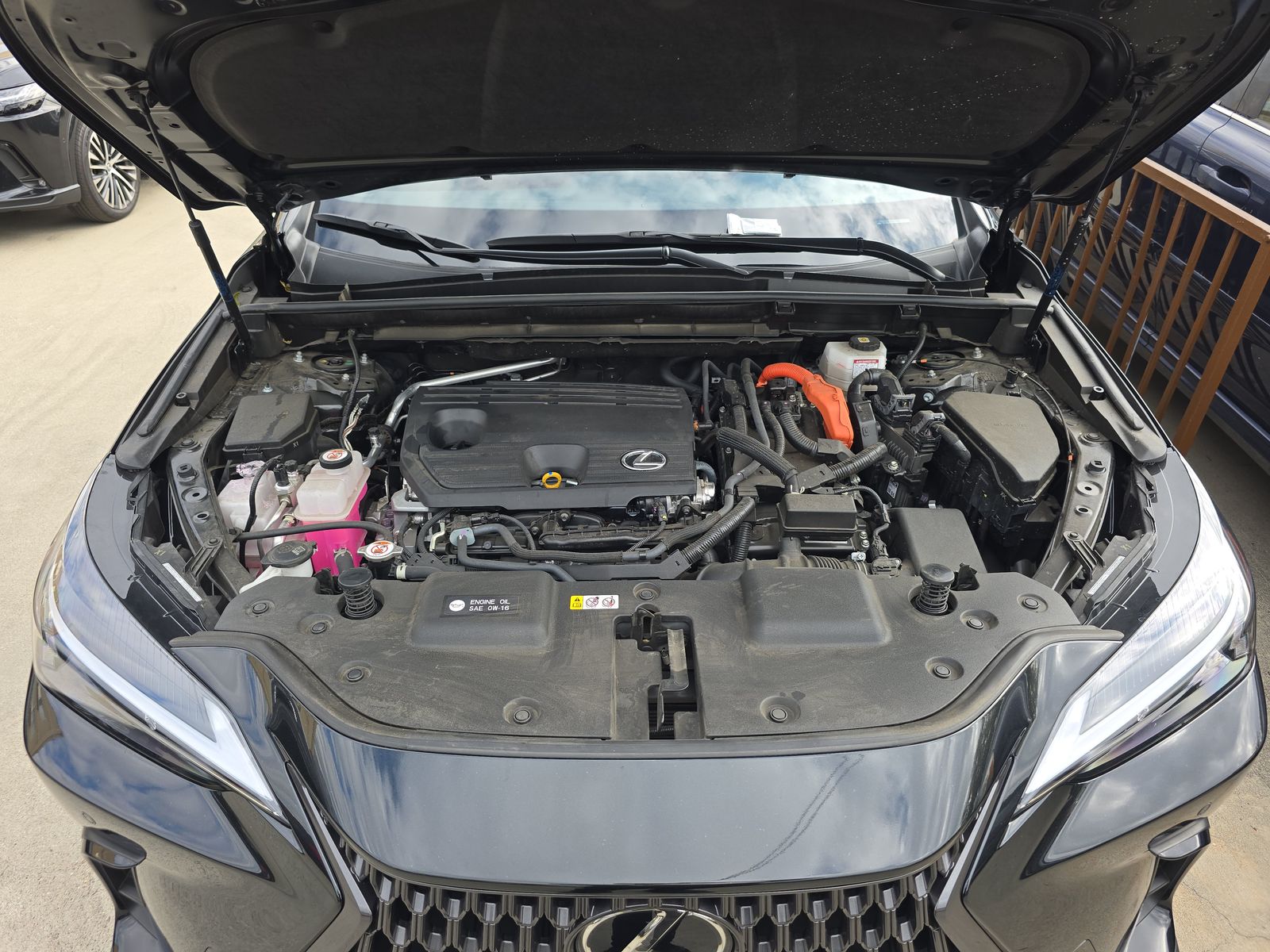 2024 Lexus NX NX 350h Premium AWD