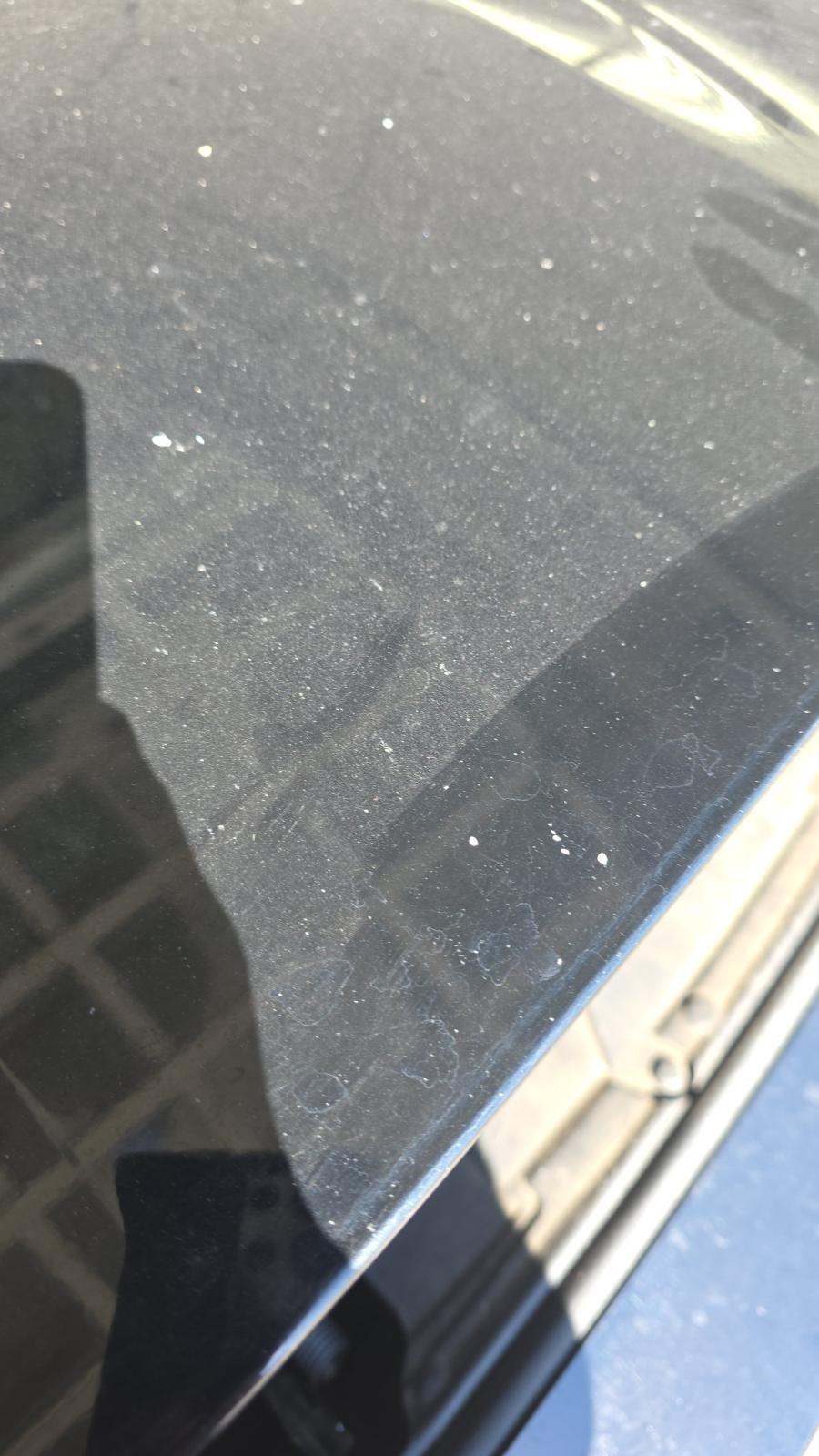 2024 Ford Mustang EcoBoost Premium RWD