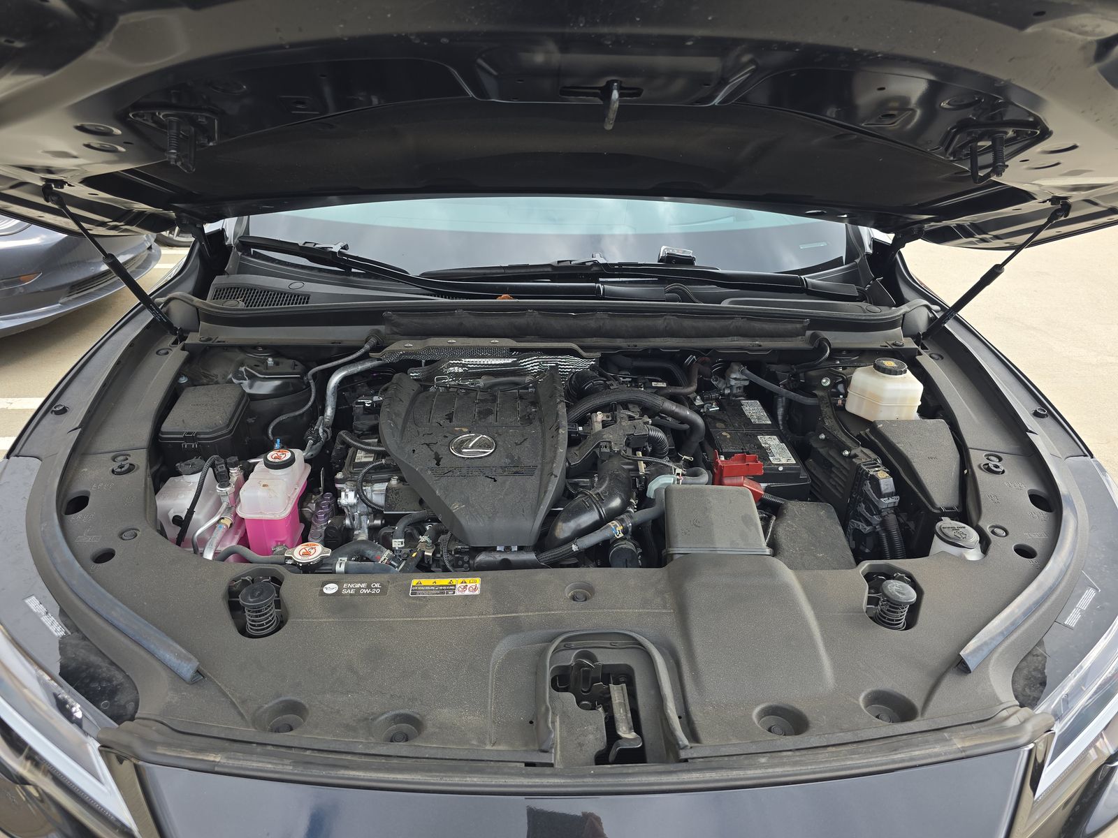 2024 Lexus RX RX 350 Premium Plus FWD