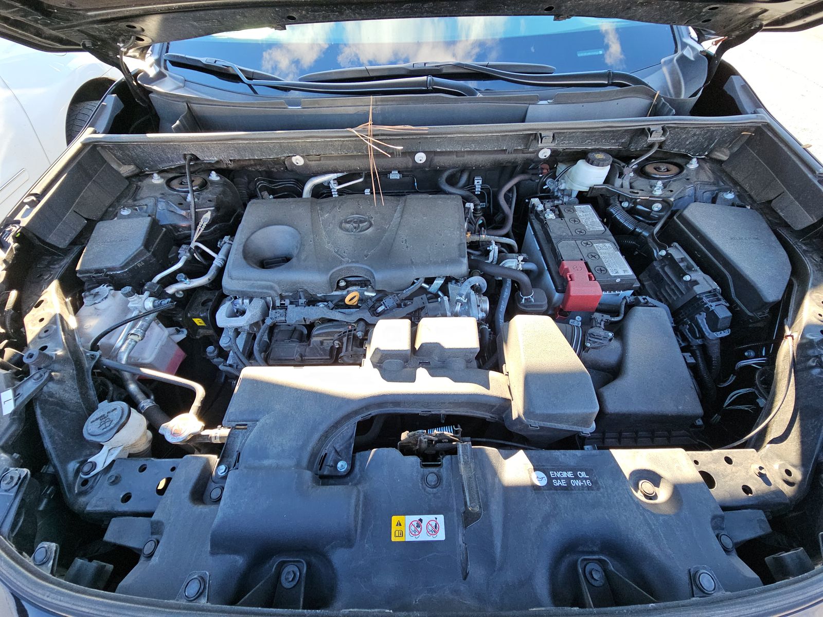 2024 Toyota RAV4 XLE AWD