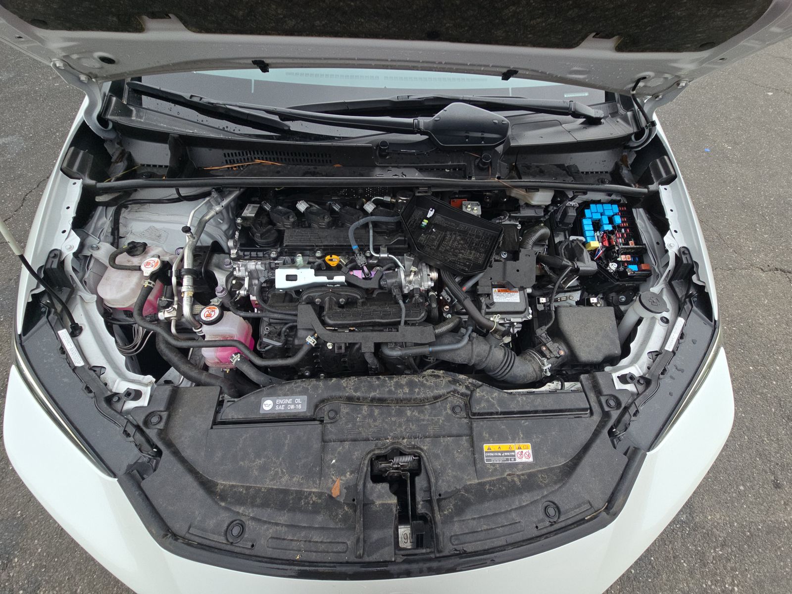 2024 Toyota Prius Limited FWD