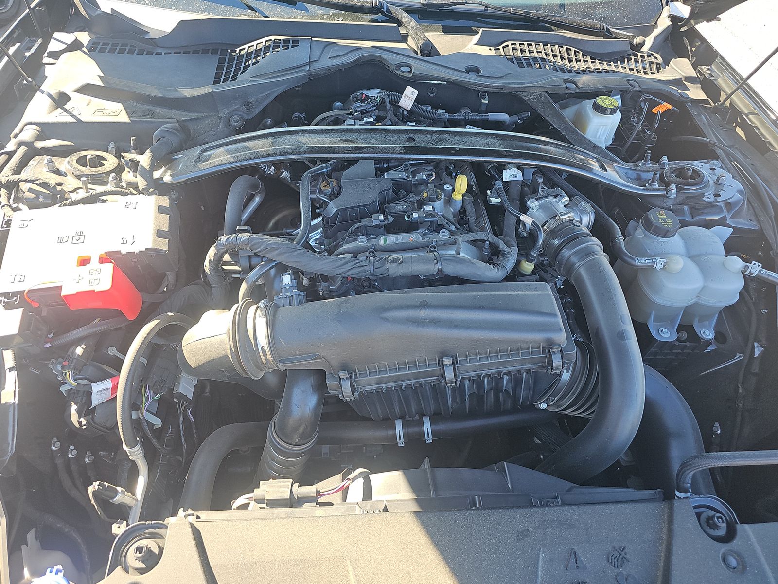 2025 Ford Mustang EcoBoost Premium RWD