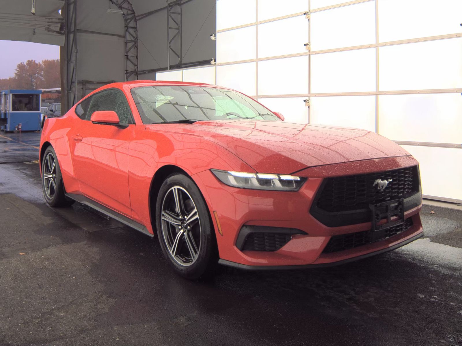 2024 Ford Mustang EcoBoost RWD