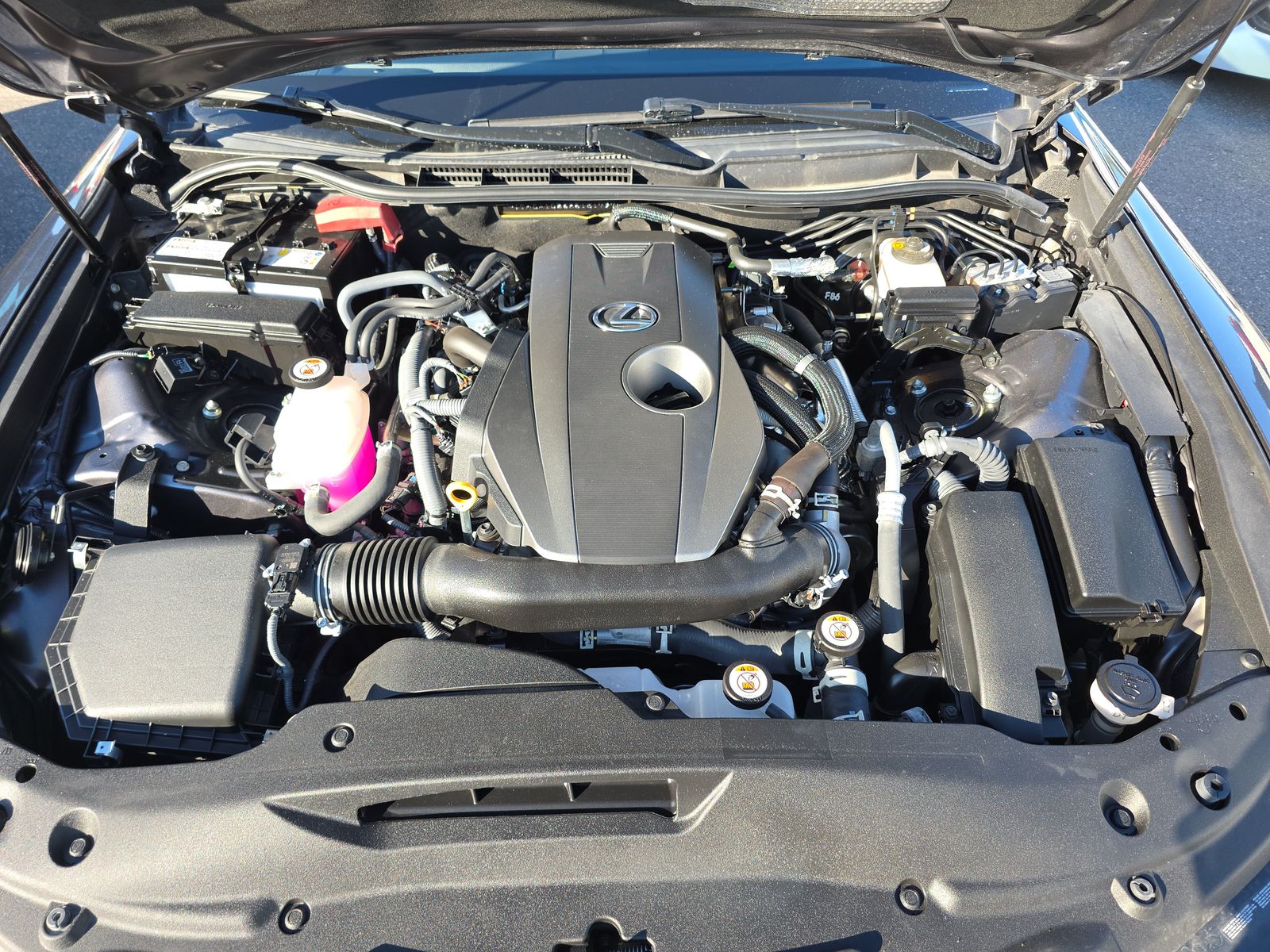 2024 Lexus IS IS 300 RWD