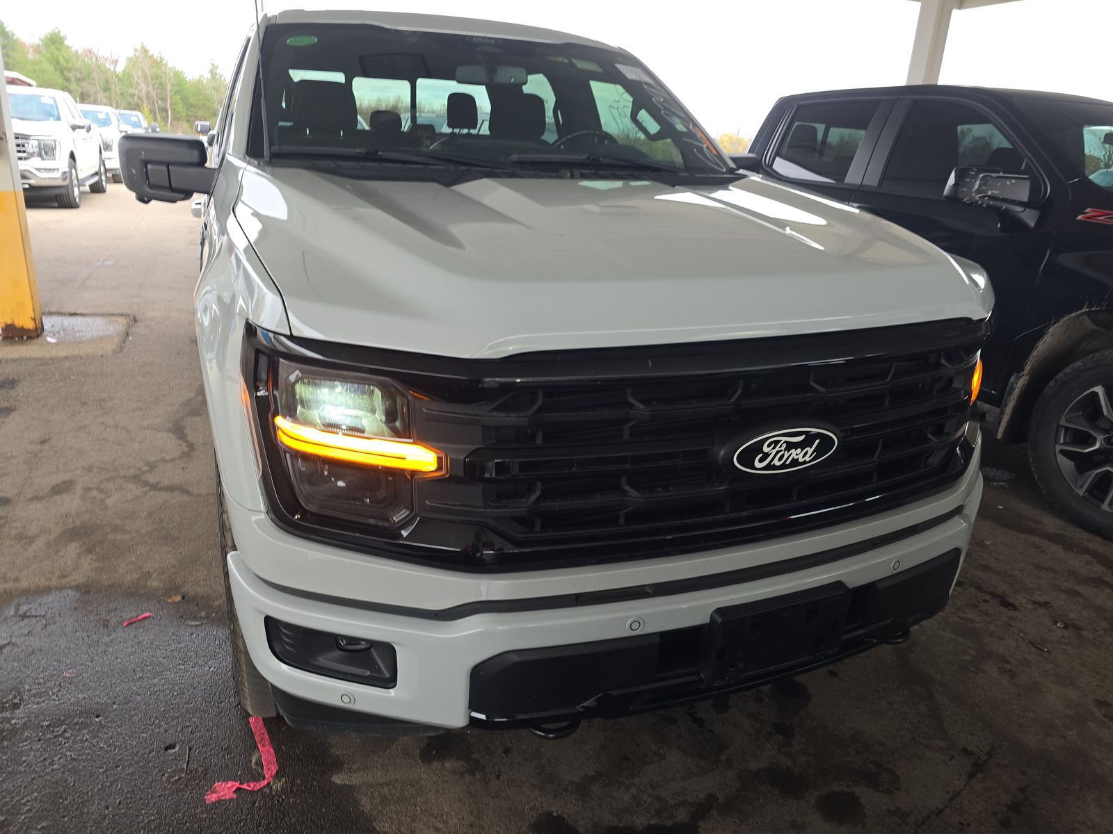 2024 Ford F-150 XLT AWD