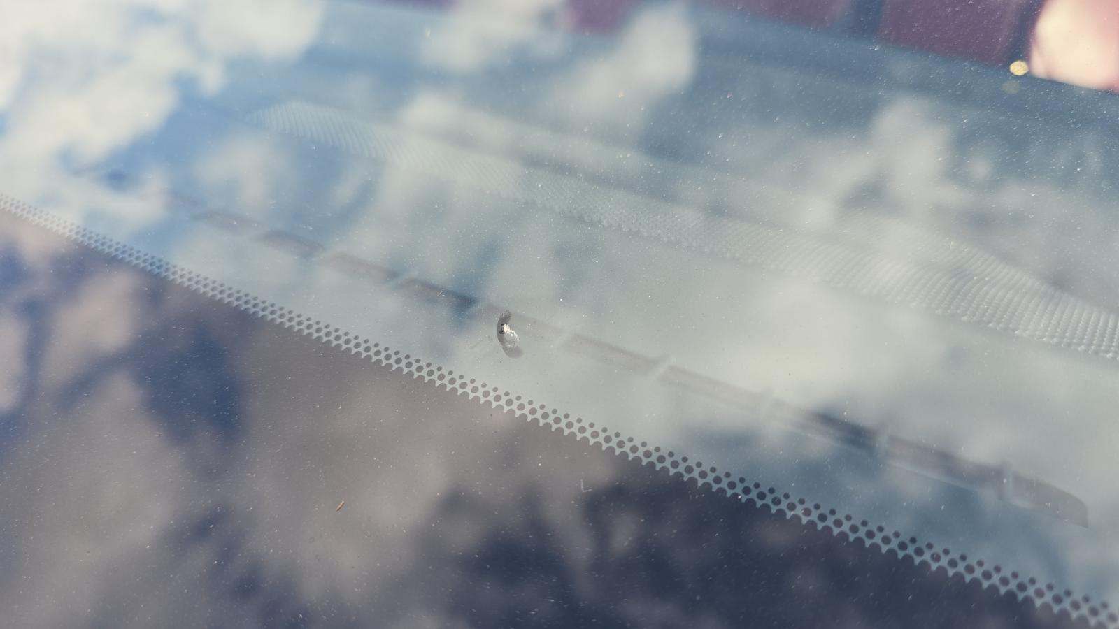 2024 Lexus NX NX 350h Premium AWD