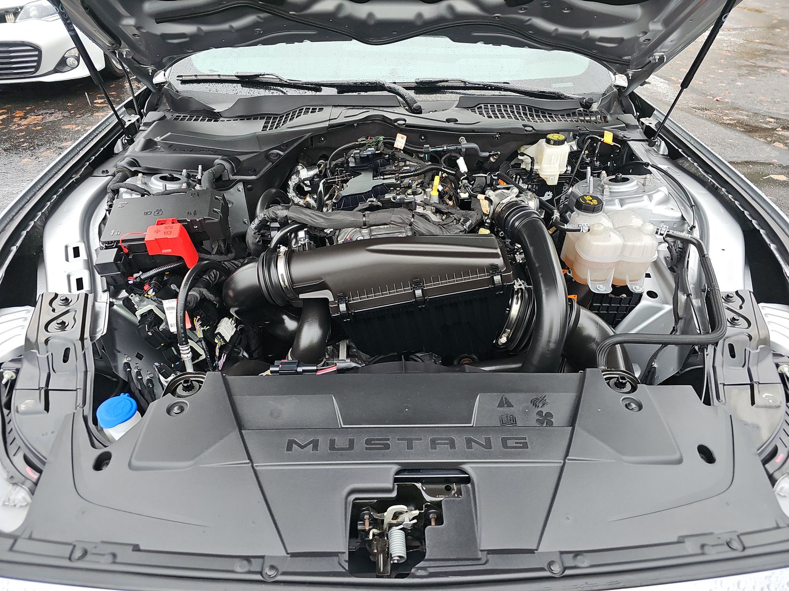 2024 Ford Mustang EcoBoost Premium RWD