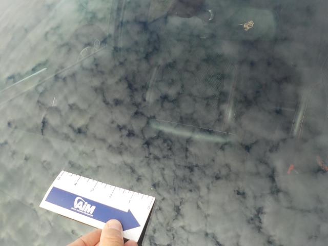 2025 Ford Escape ST-Line AWD