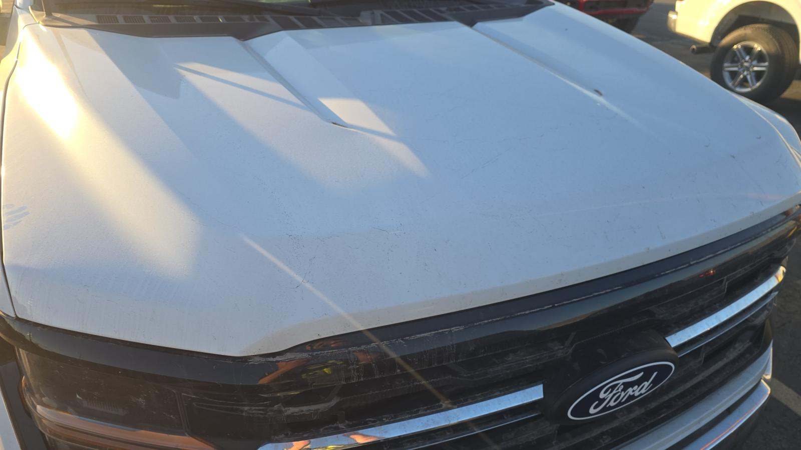 2024 Ford F-150 XLT AWD